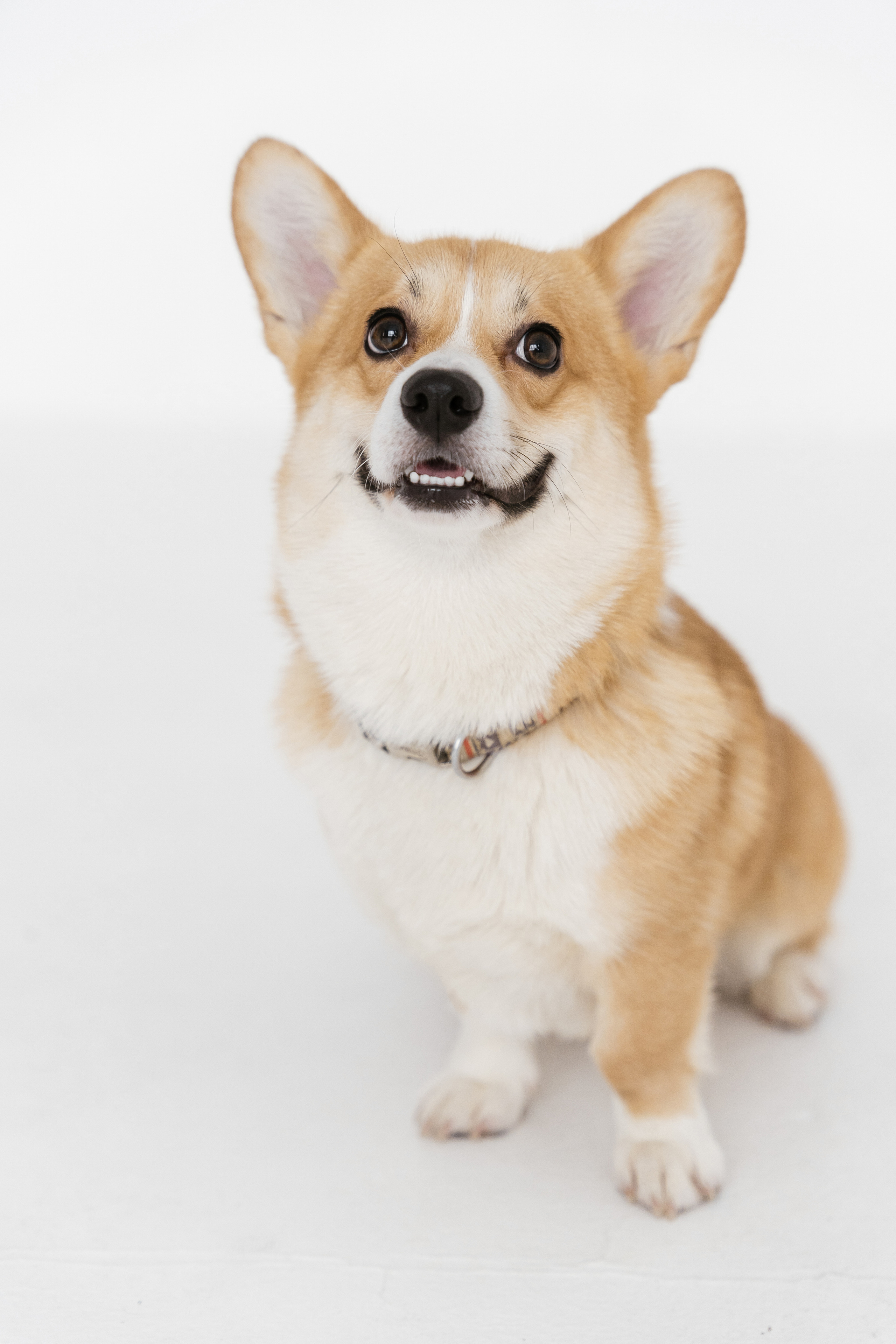 31.10.2021 Family. Фотограф Томск, Новосибирск Влад Свириденко