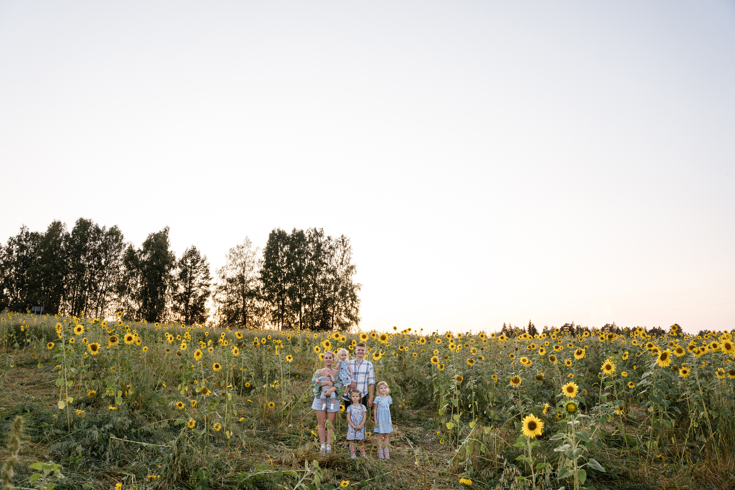 Поле, на котором детей больше, чем подсолнухов. Фотограф Томск, Новосибирск Влад Свириденко