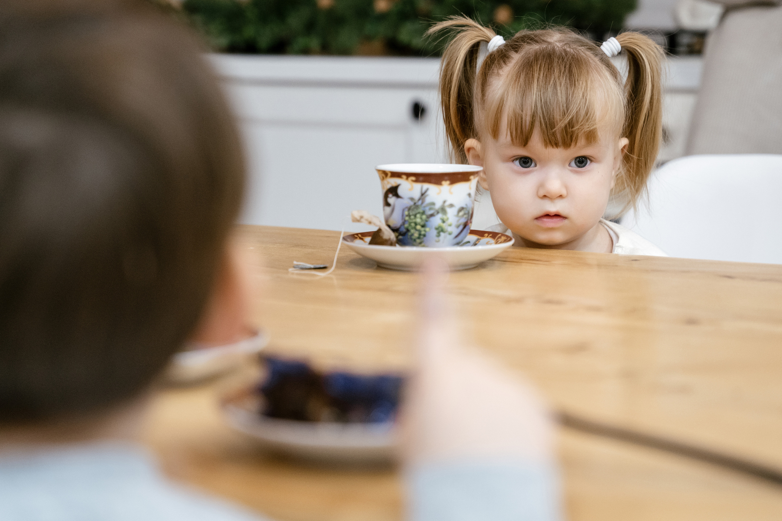 28.11.2021 Family. Фотограф Томск, Новосибирск Влад Свириденко