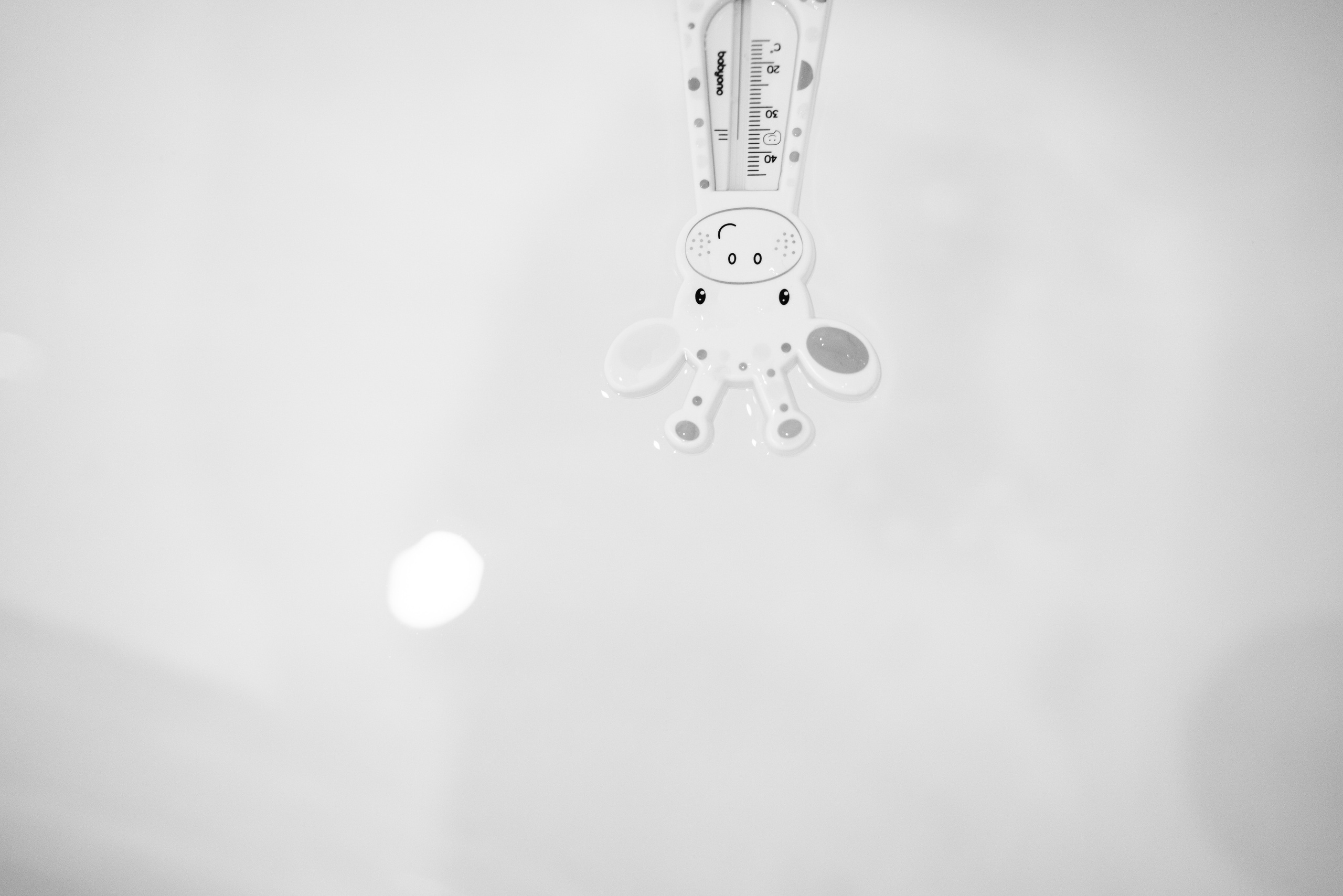 Little Girl. Фотограф Томск, Новосибирск Влад Свириденко