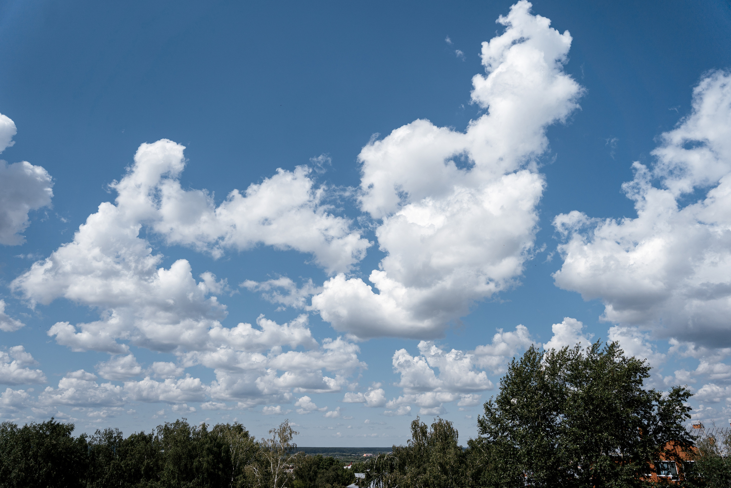 29.07.2021 Wedding day for guests. Фотограф Томск, Новосибирск Влад Свириденко