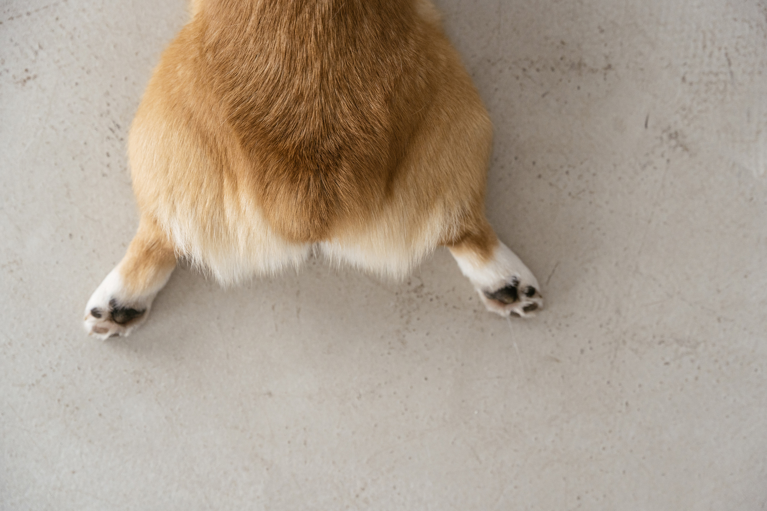 31.10.2021 Family. Фотограф Томск, Новосибирск Влад Свириденко