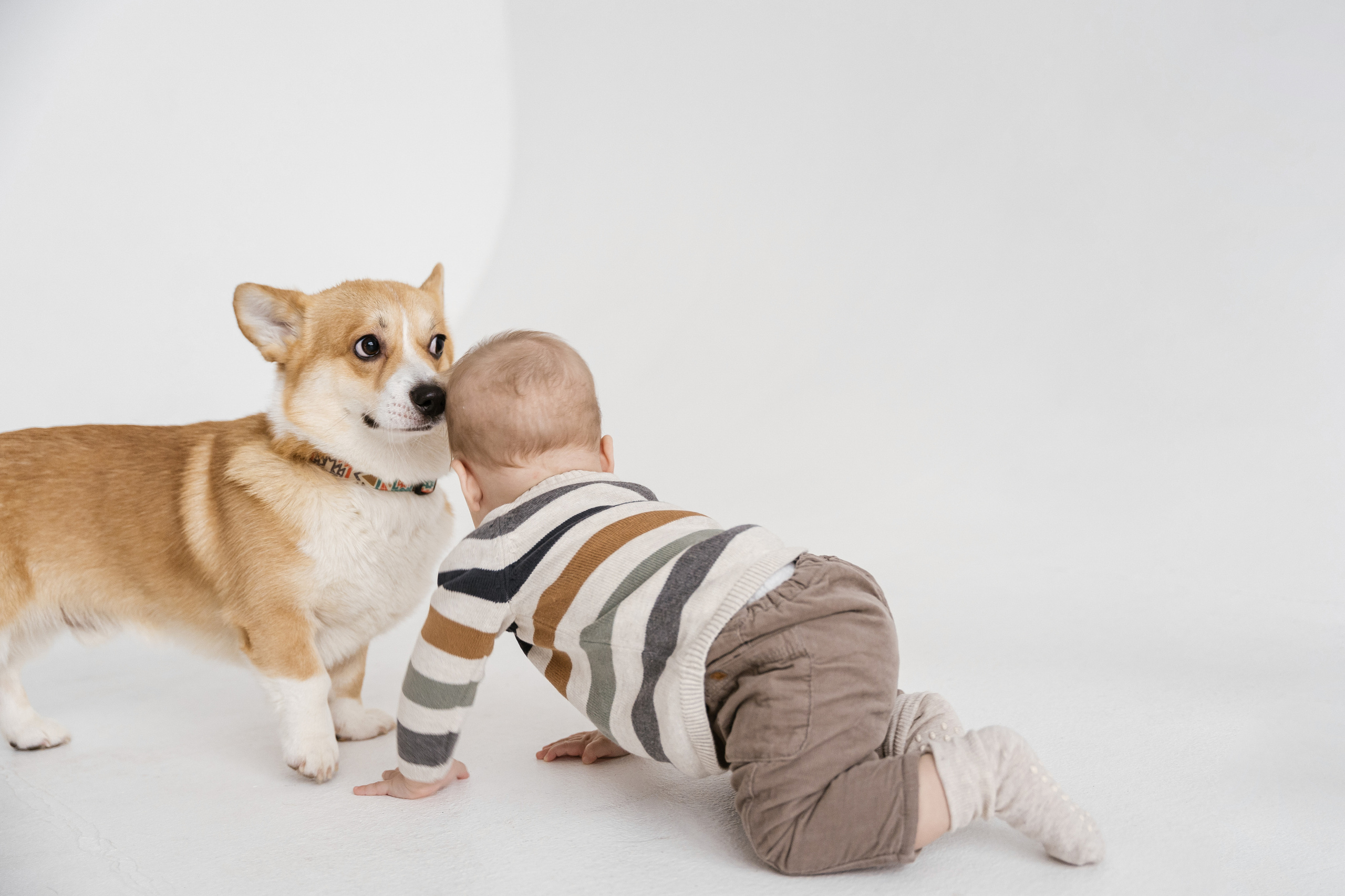 31.10.2021 Family. Фотограф Томск, Новосибирск Влад Свириденко