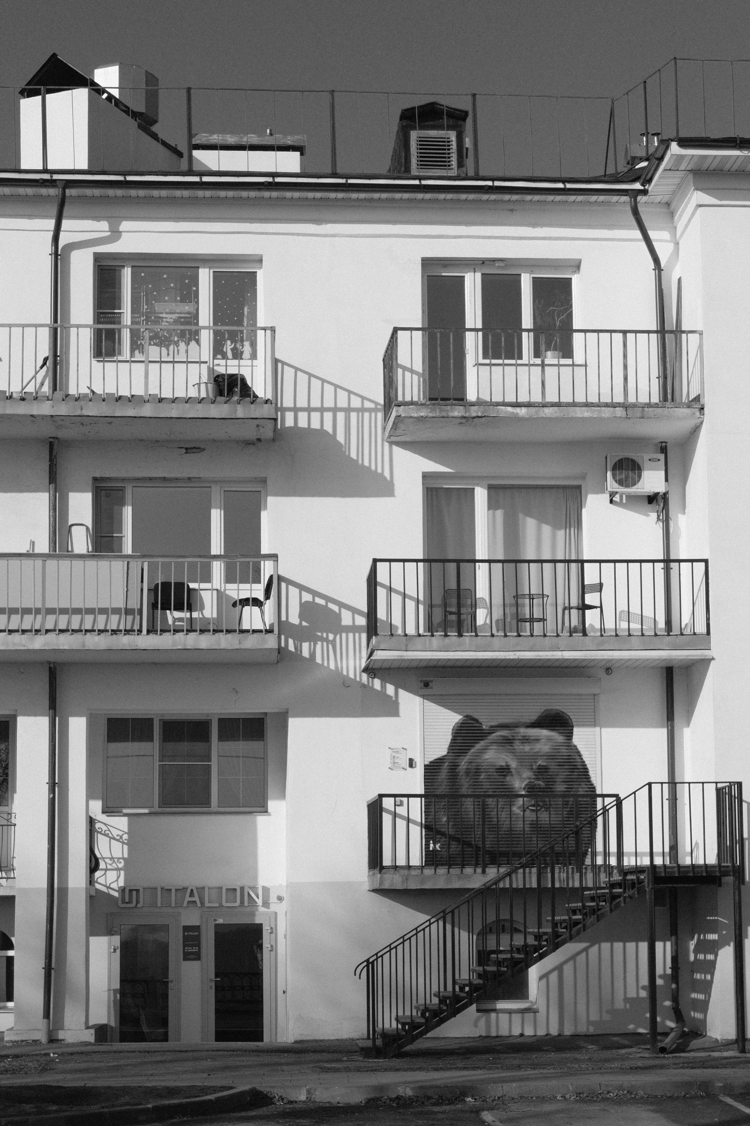 29.03 — 30.03.2025 // фотовыезд в Ярославль. Фотовыставки serebro.gallery, в которых автором можешь стать ты! | Москва