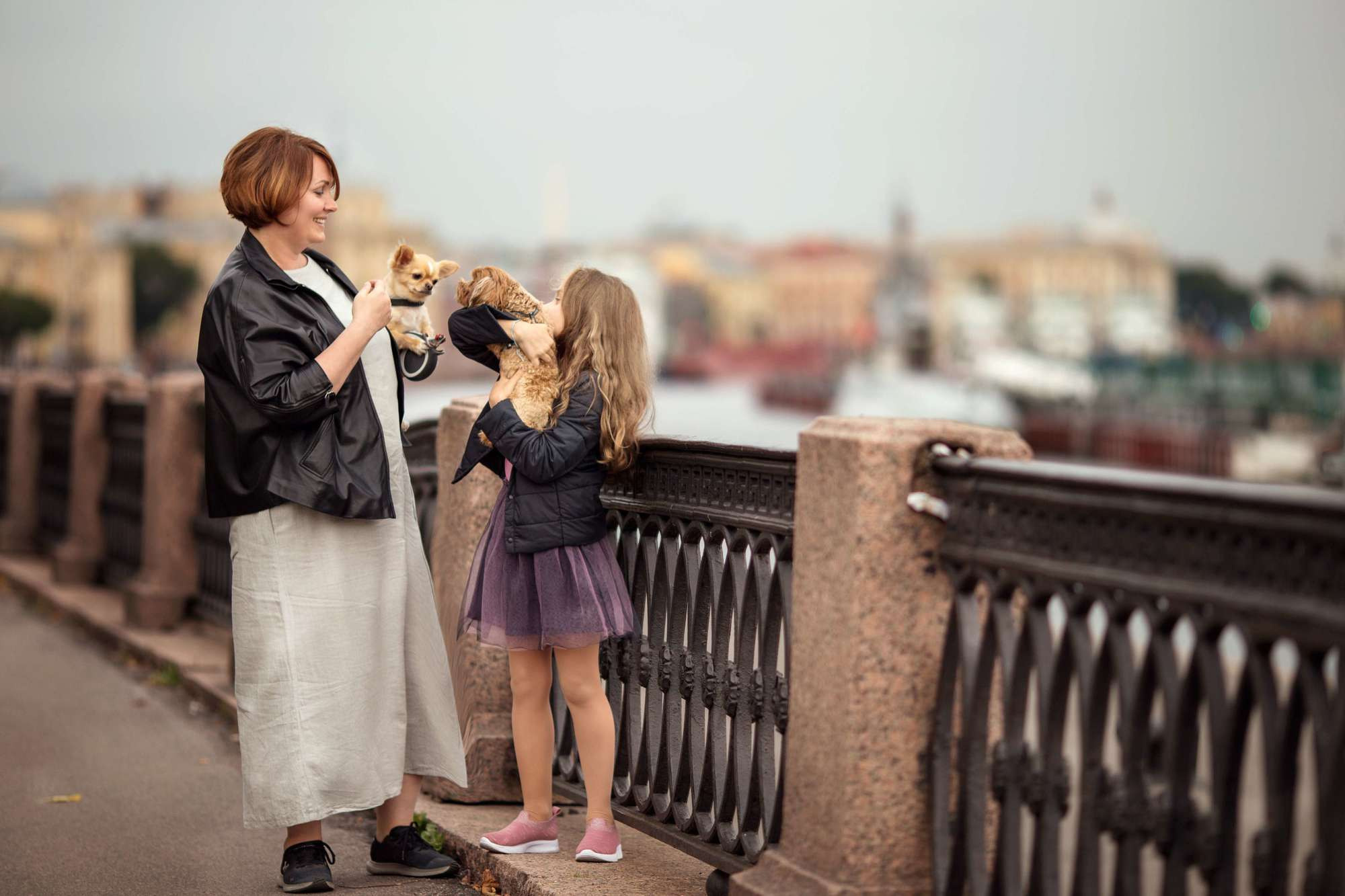 Мохнатые друзья. Фотограф СПб Юлия Ерошевская, предметный фотограф