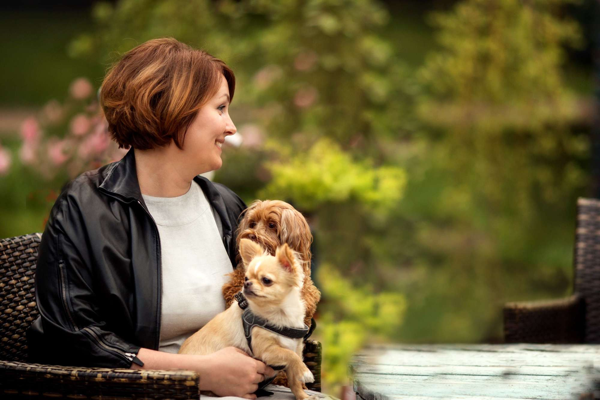 Мохнатые друзья. Фотограф СПб Юлия Ерошевская, предметный фотограф