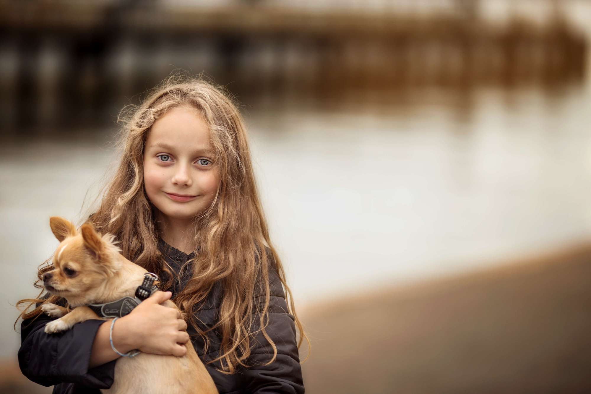 Мохнатые друзья. Фотограф СПб Юлия Ерошевская, предметный фотограф