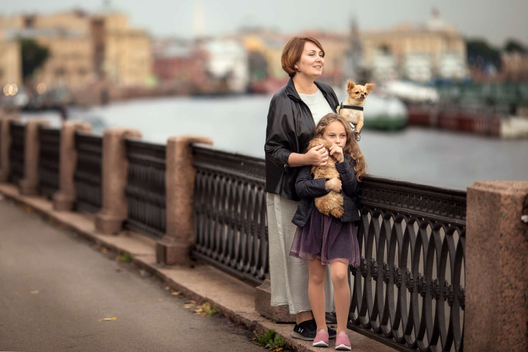 Мохнатые друзья. Фотограф СПб Юлия Ерошевская, предметный фотограф