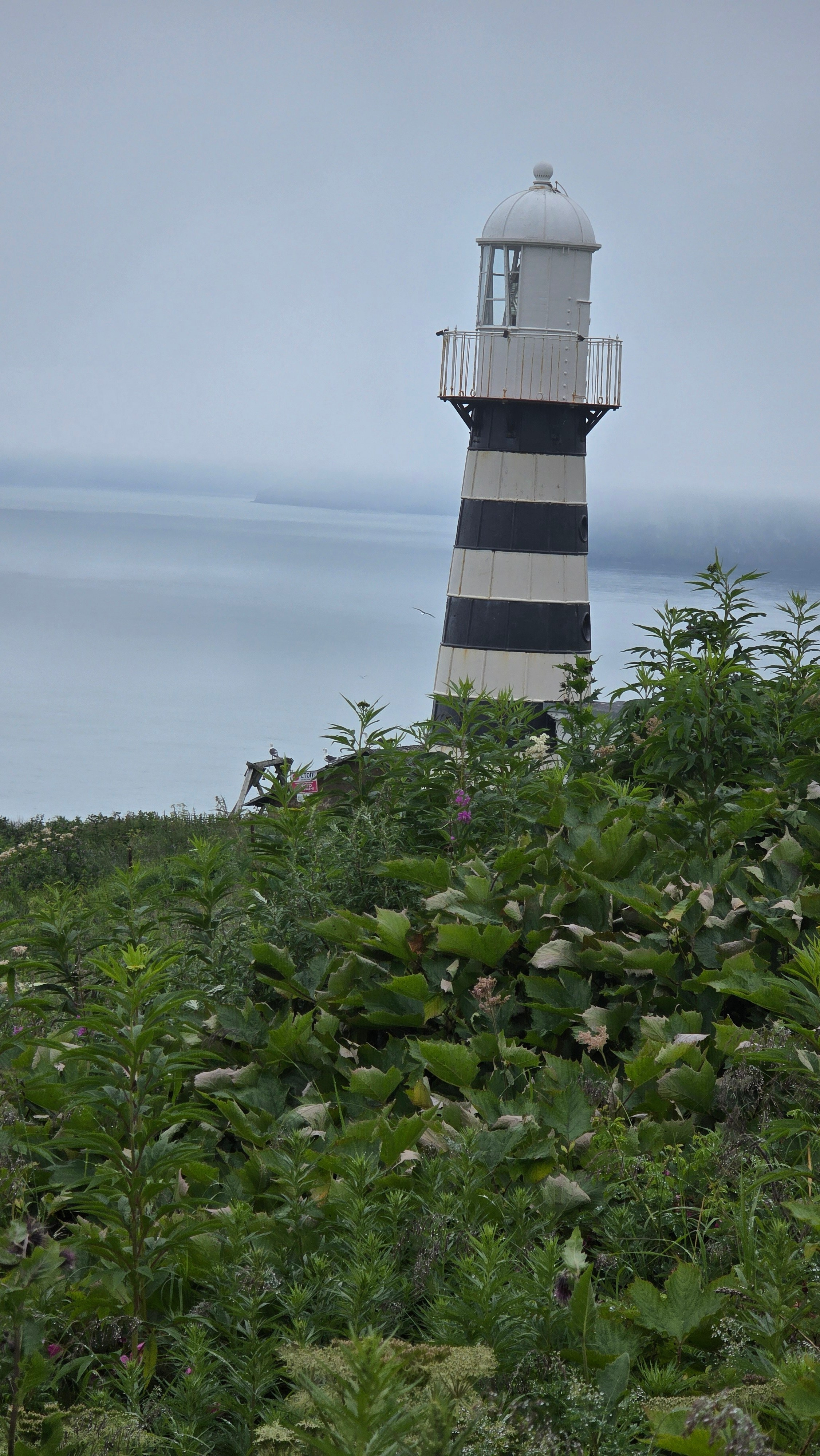 Мыс Маячный + Смотровая «Три Брата» + бухты Лагерные. Экскурсионные туры по Камчатке