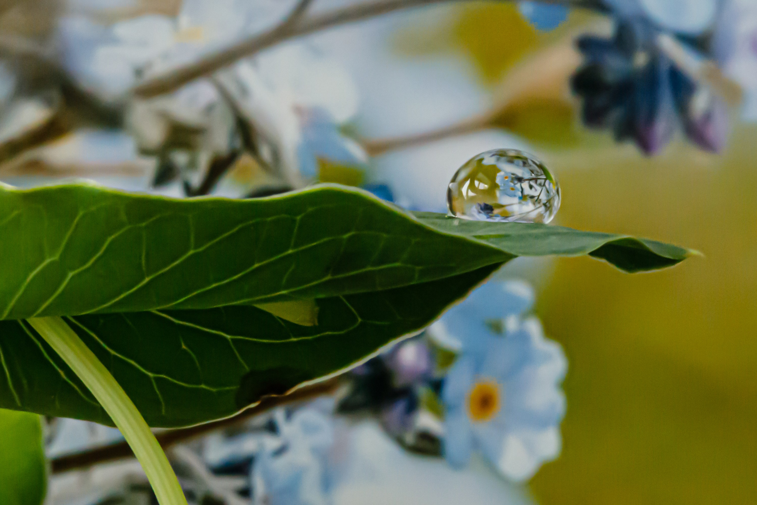 Подберу кадр под ваш интерьер и настроение. Фотограф Кирилл Мешков Кемерово
