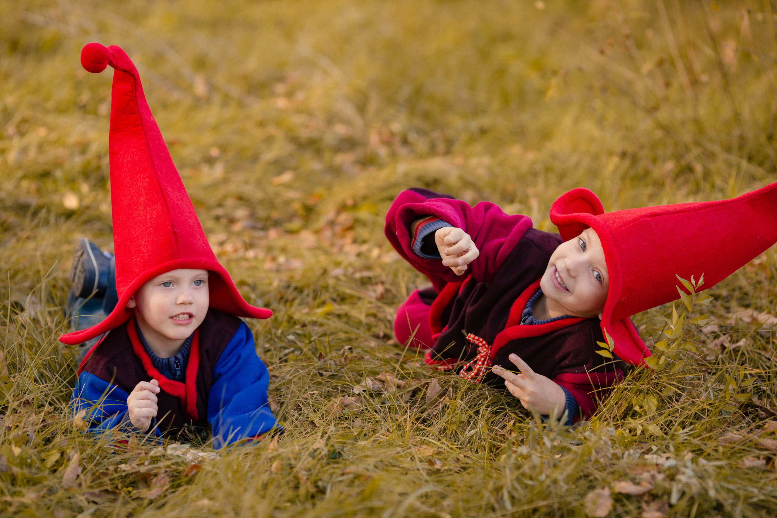 Лесные гномы