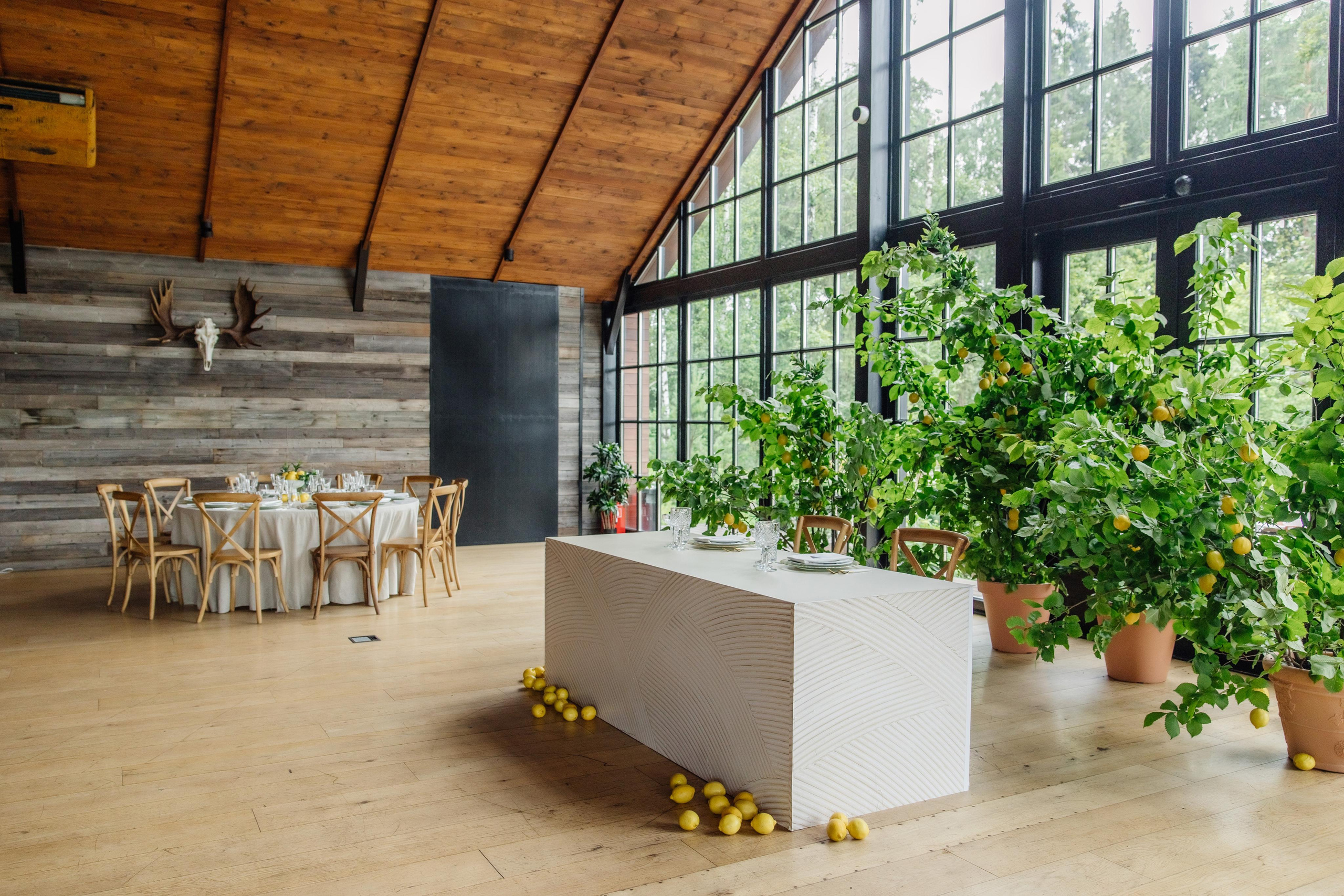 Съемка декора. Репортажный фотограф Ольга Кочетова в Москве