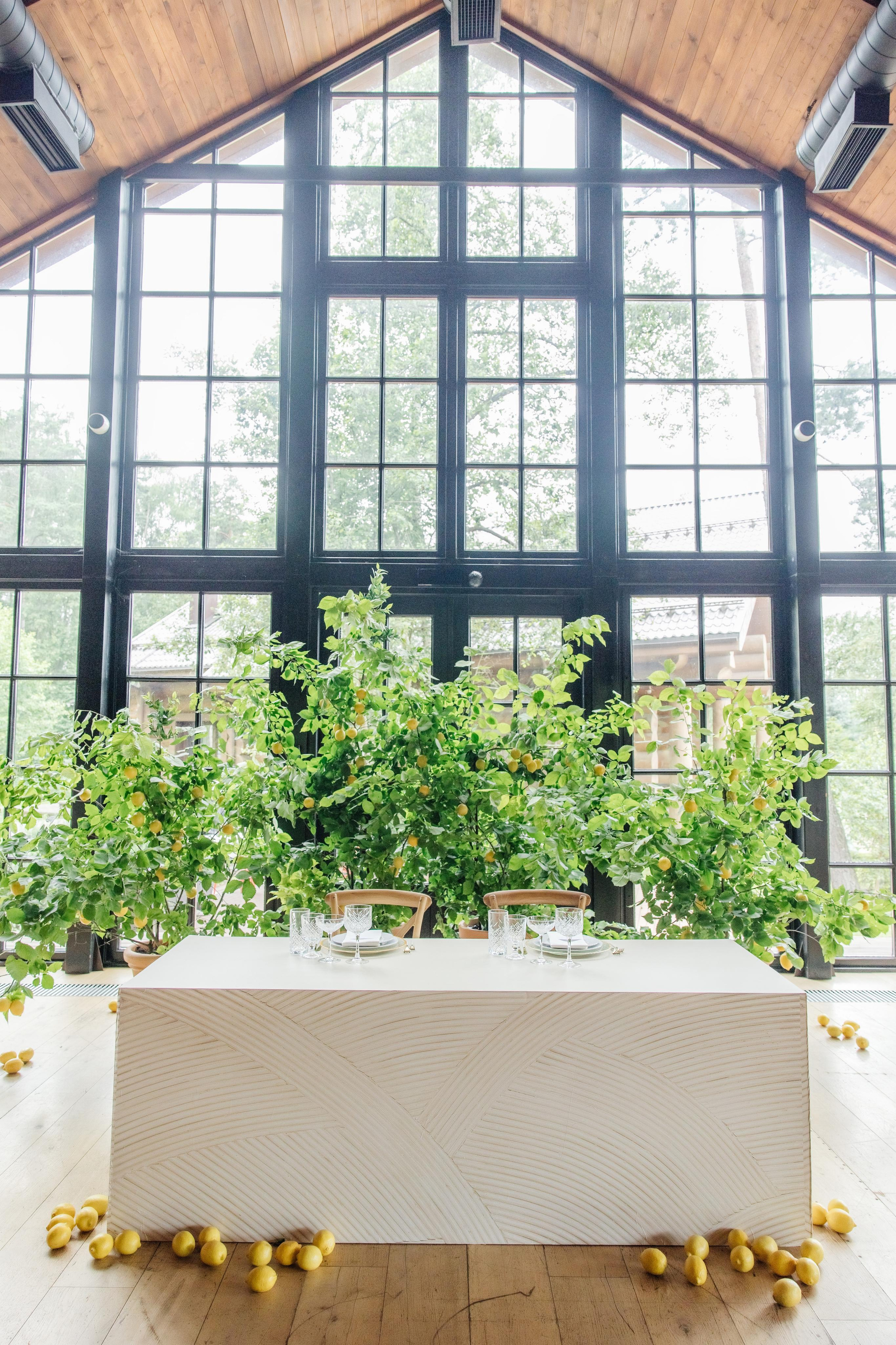 Съемка декора. Репортажный фотограф Ольга Кочетова в Москве