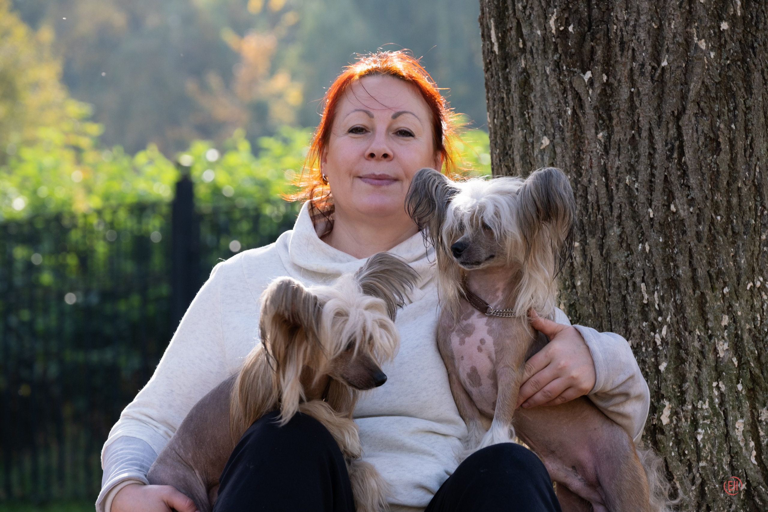 On a walk. Chinese Crested Dog Kennel Poale Ell