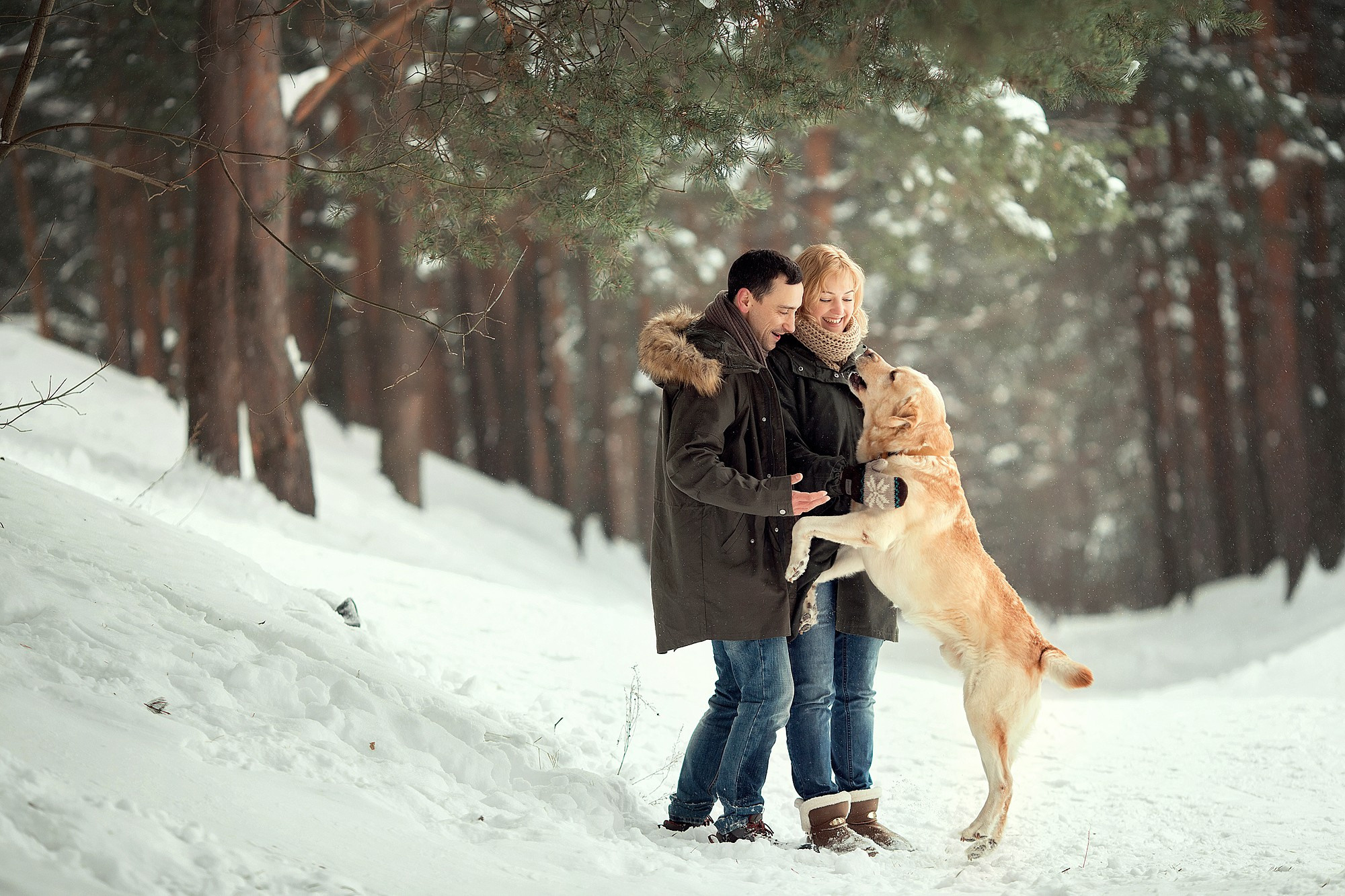 Собака — друг семьи!. Tatyana Nadezhdina Family photographer