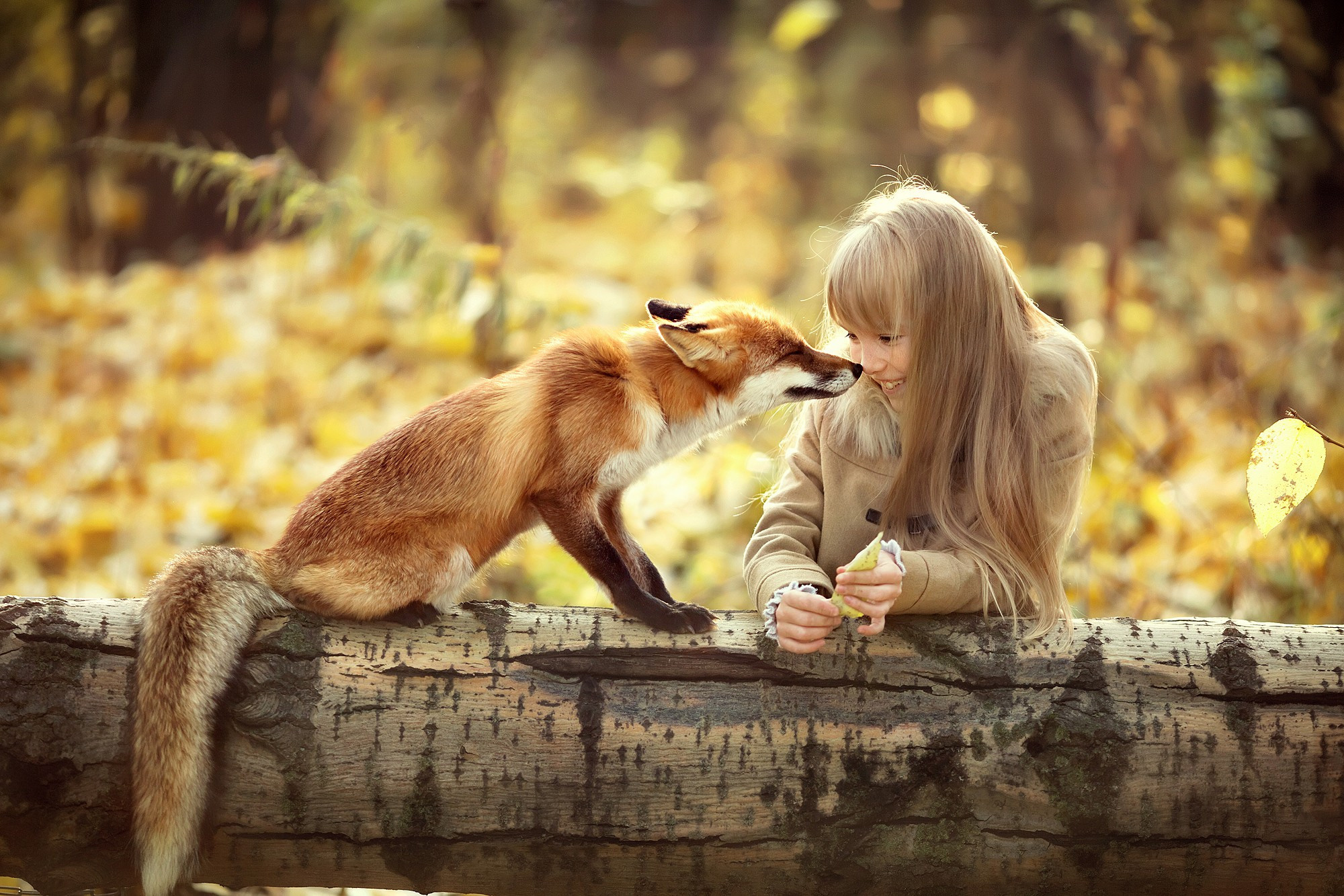 Увлекательная осенняя история. Tatyana Nadezhdina Family photographer