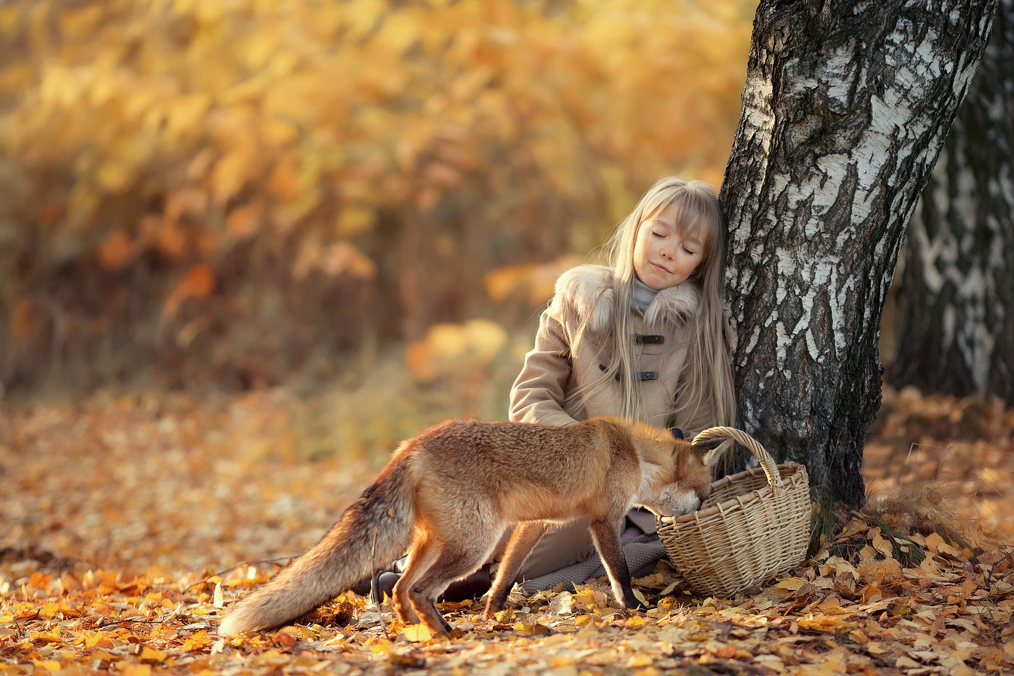 Увлекательная осенняя история. Tatyana Nadezhdina Family photographer