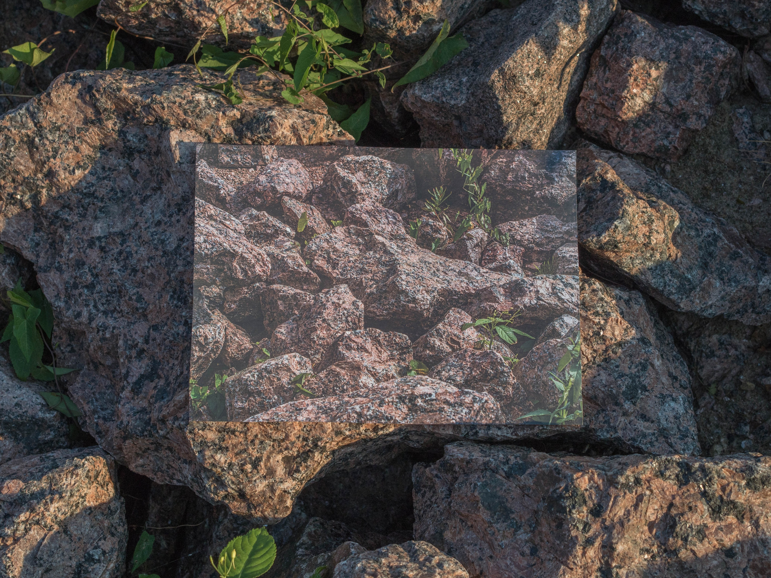 Земля в воде, вода в огне, огонь в воздухе. Anastasiia Kron