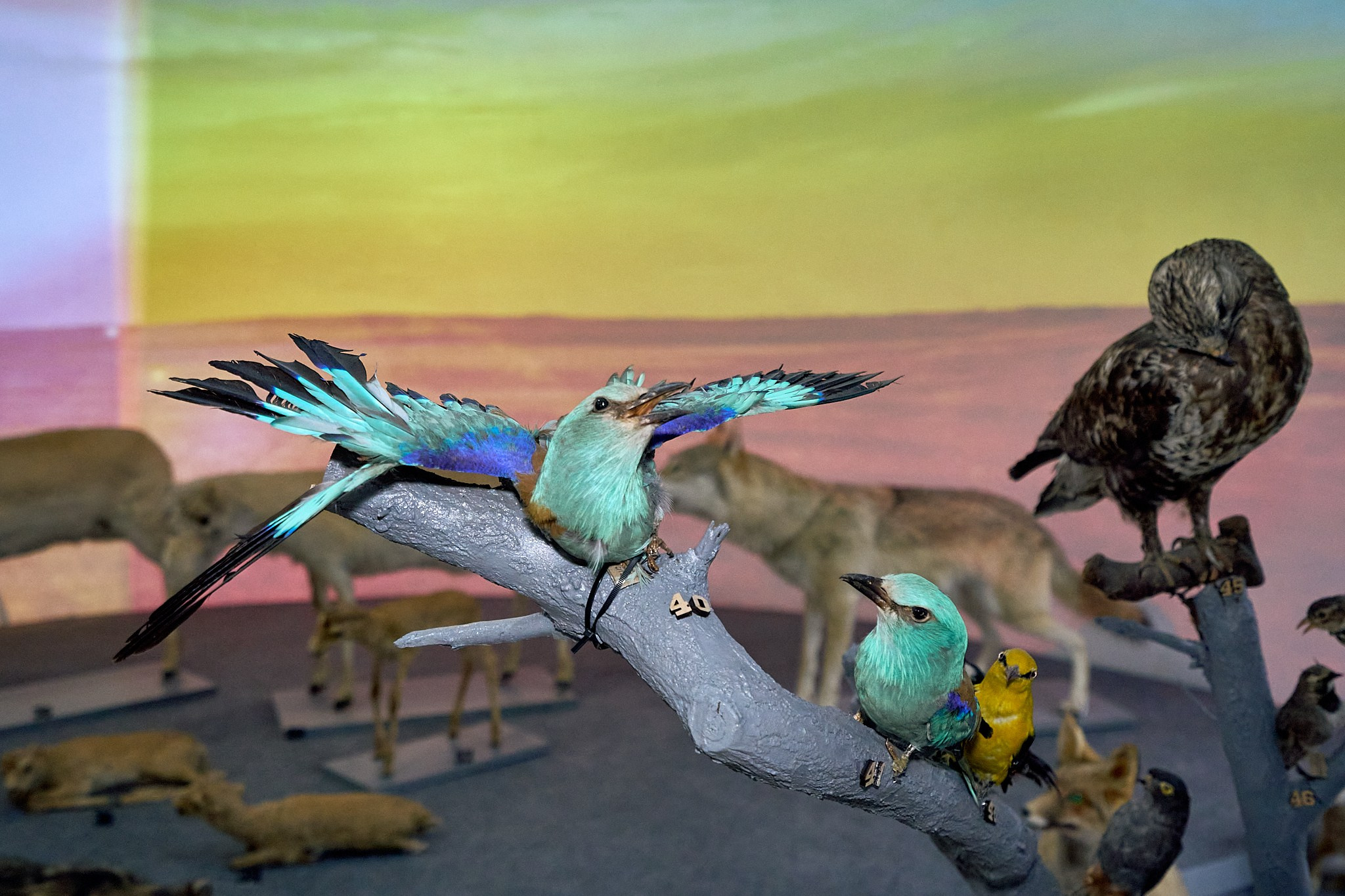 Элиста 08.2024. Петр Ступень. Свадебное, семейное фото и видео. Москва. Краснодар