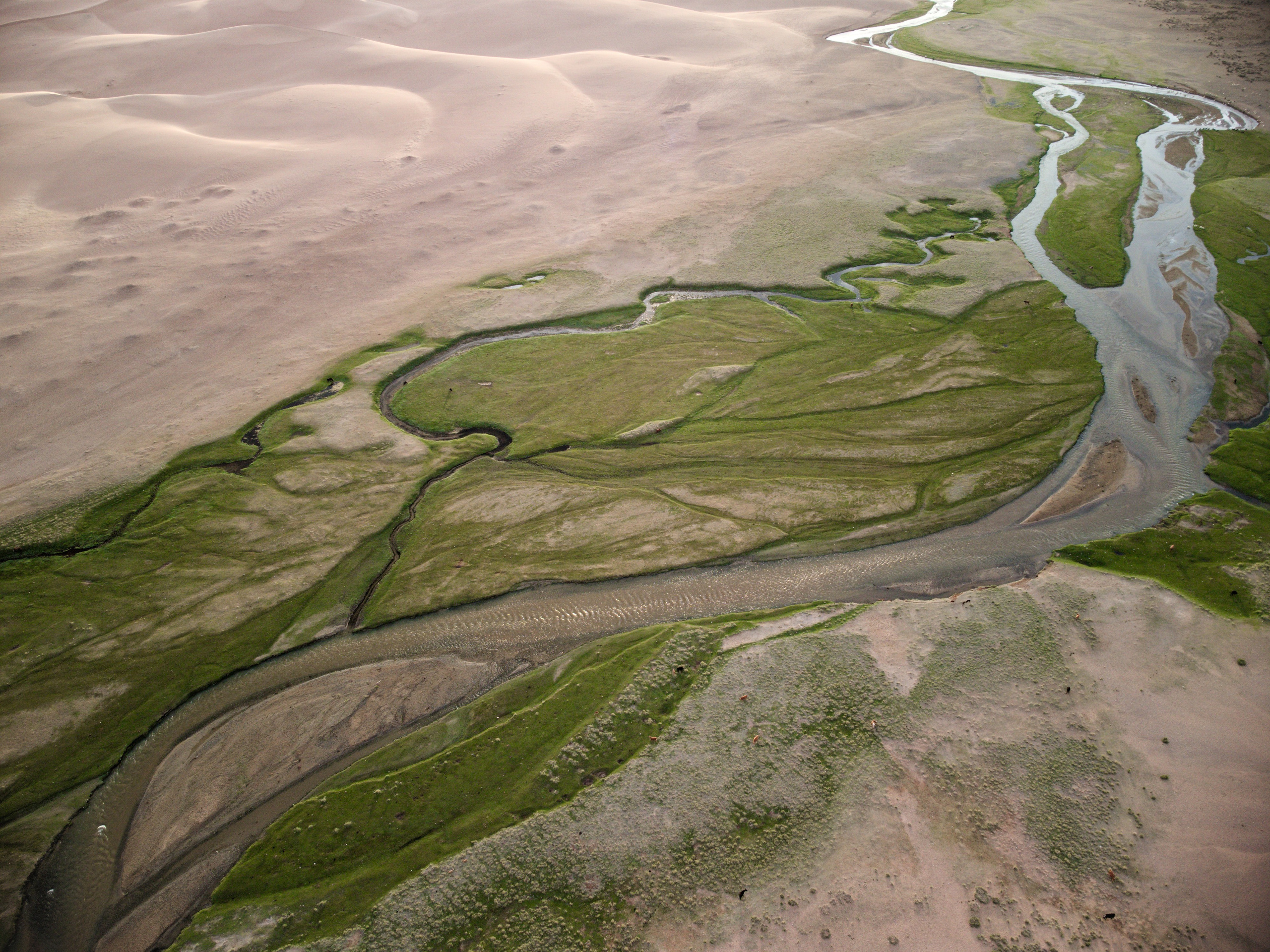 Экспедиция в Монголию (котловина больших озер). Семоха Валерий. Фотограф