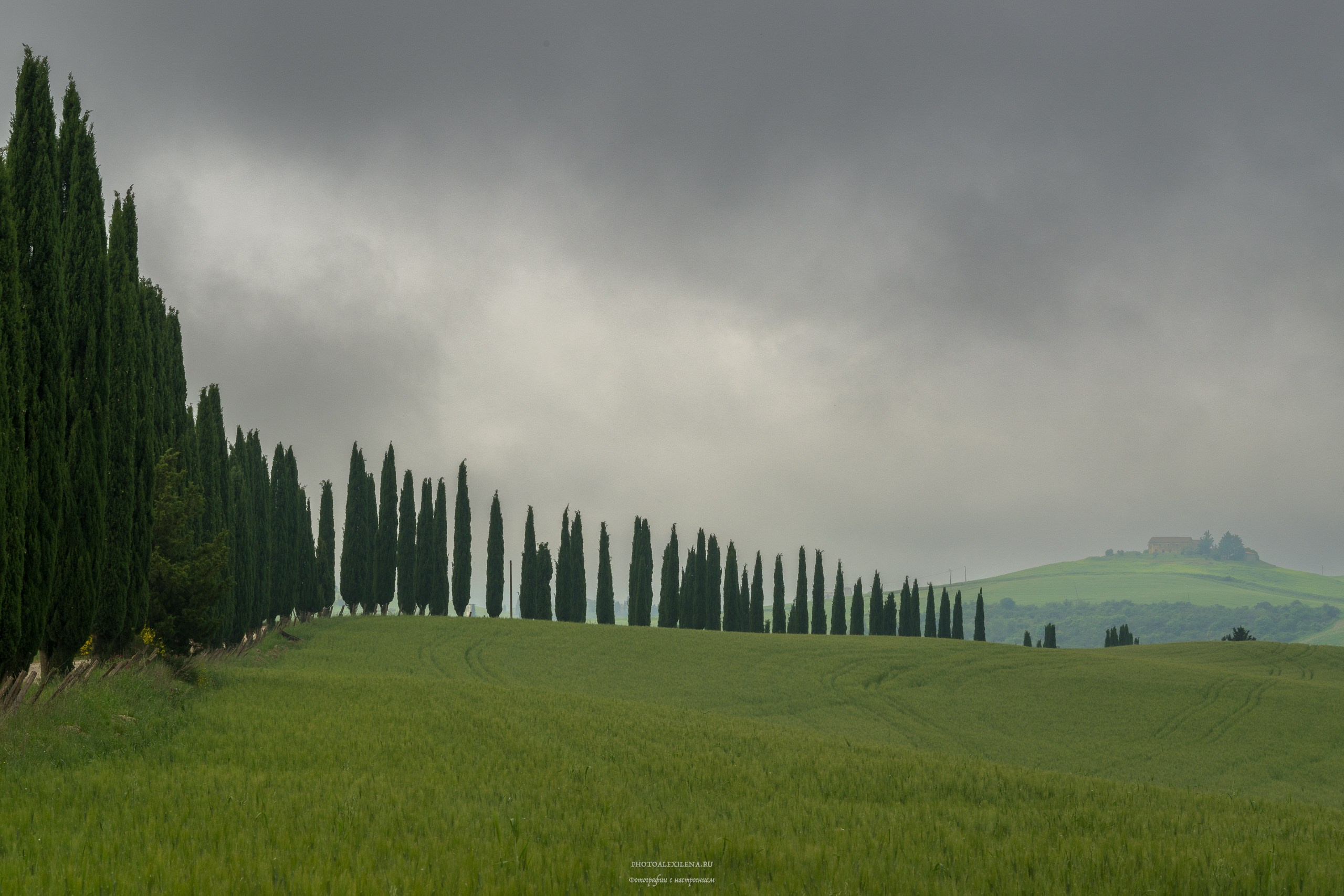 Долина Крете Сенези (Crete Senesi). Авторские стильные фотокартины