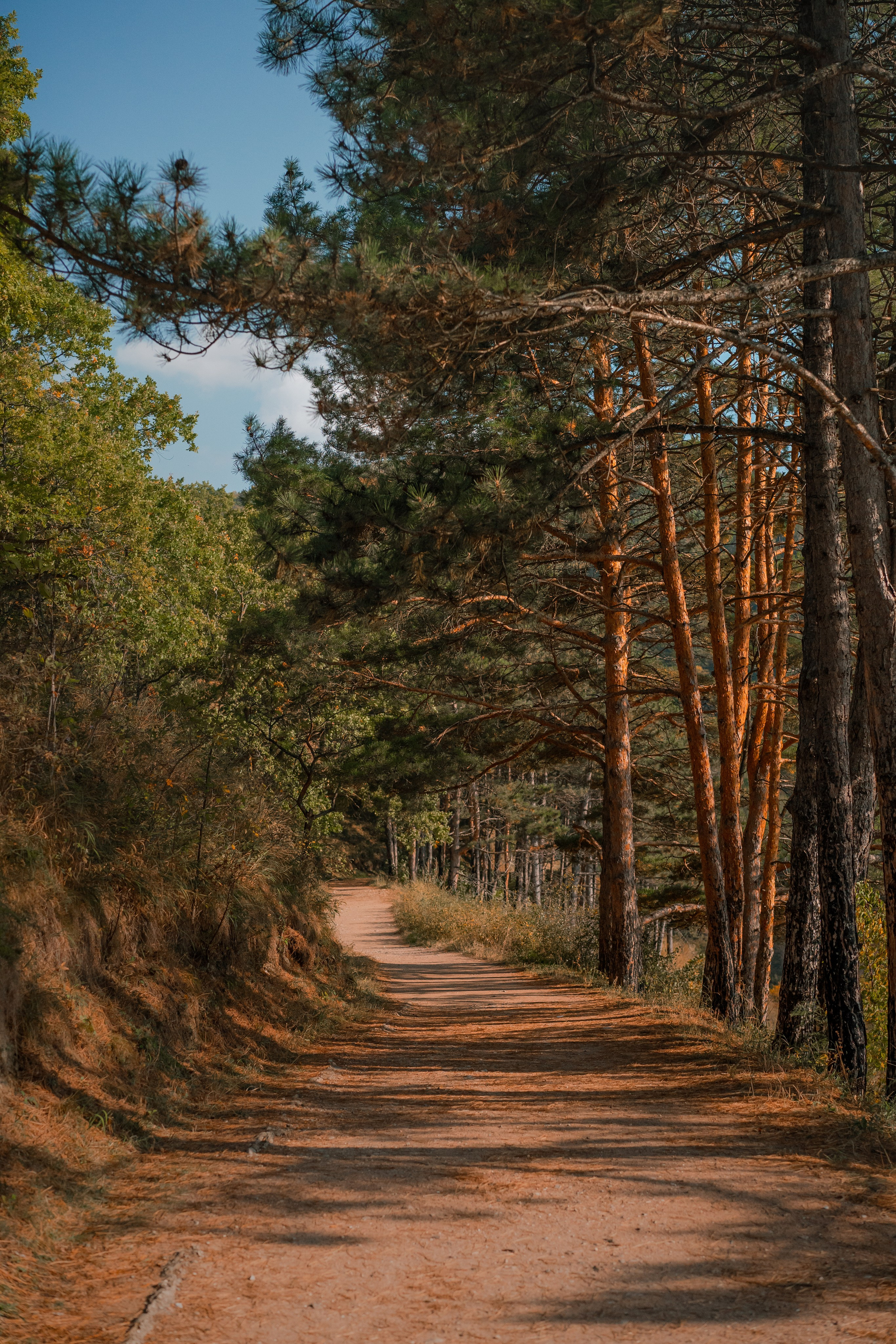 Извилистые терренкуры. Юля Дэй • Фотограф, Санкт-Петербург