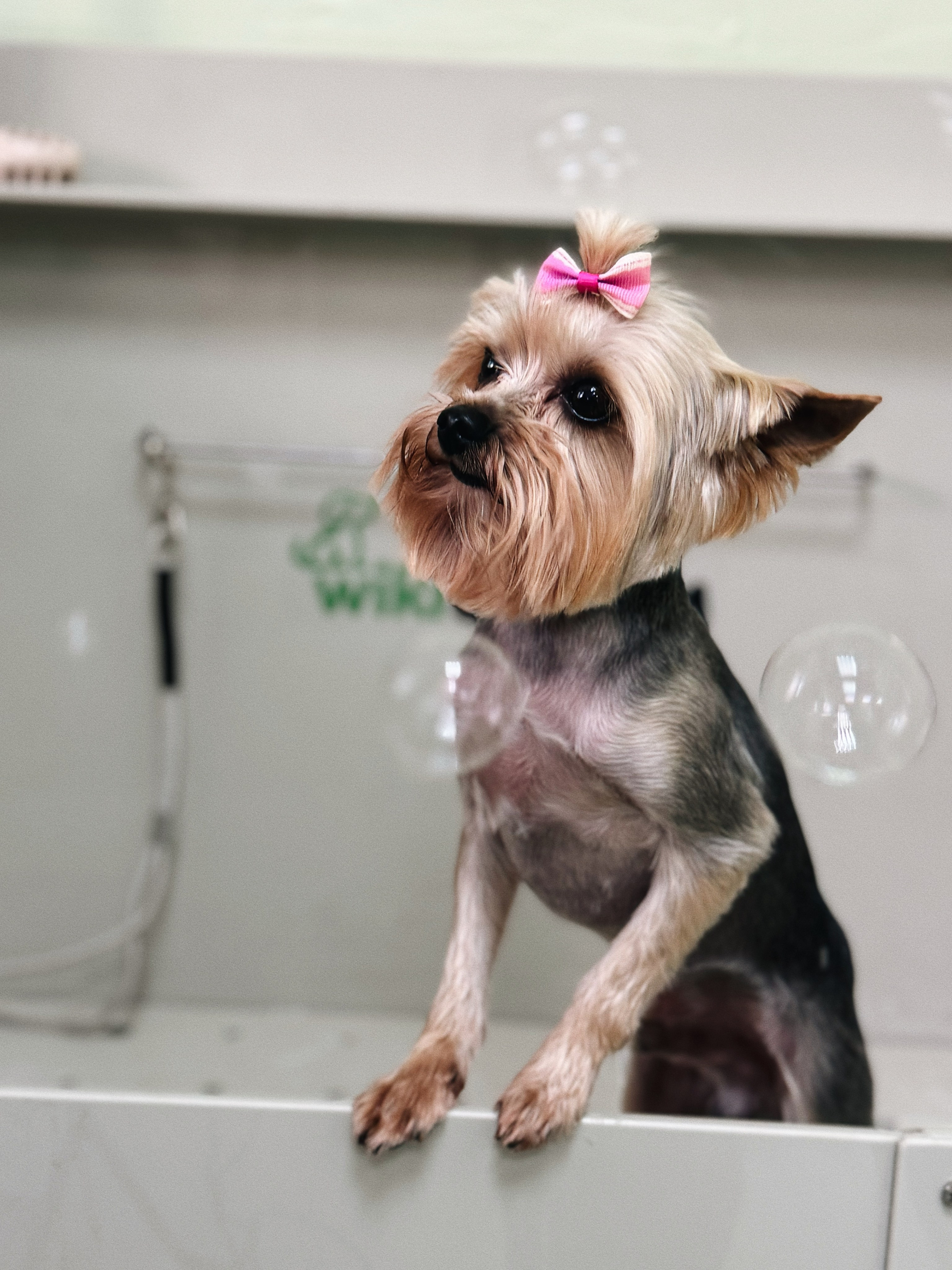 КОНТЕНТ. Креативный фотограф Ксения Семенова Курган