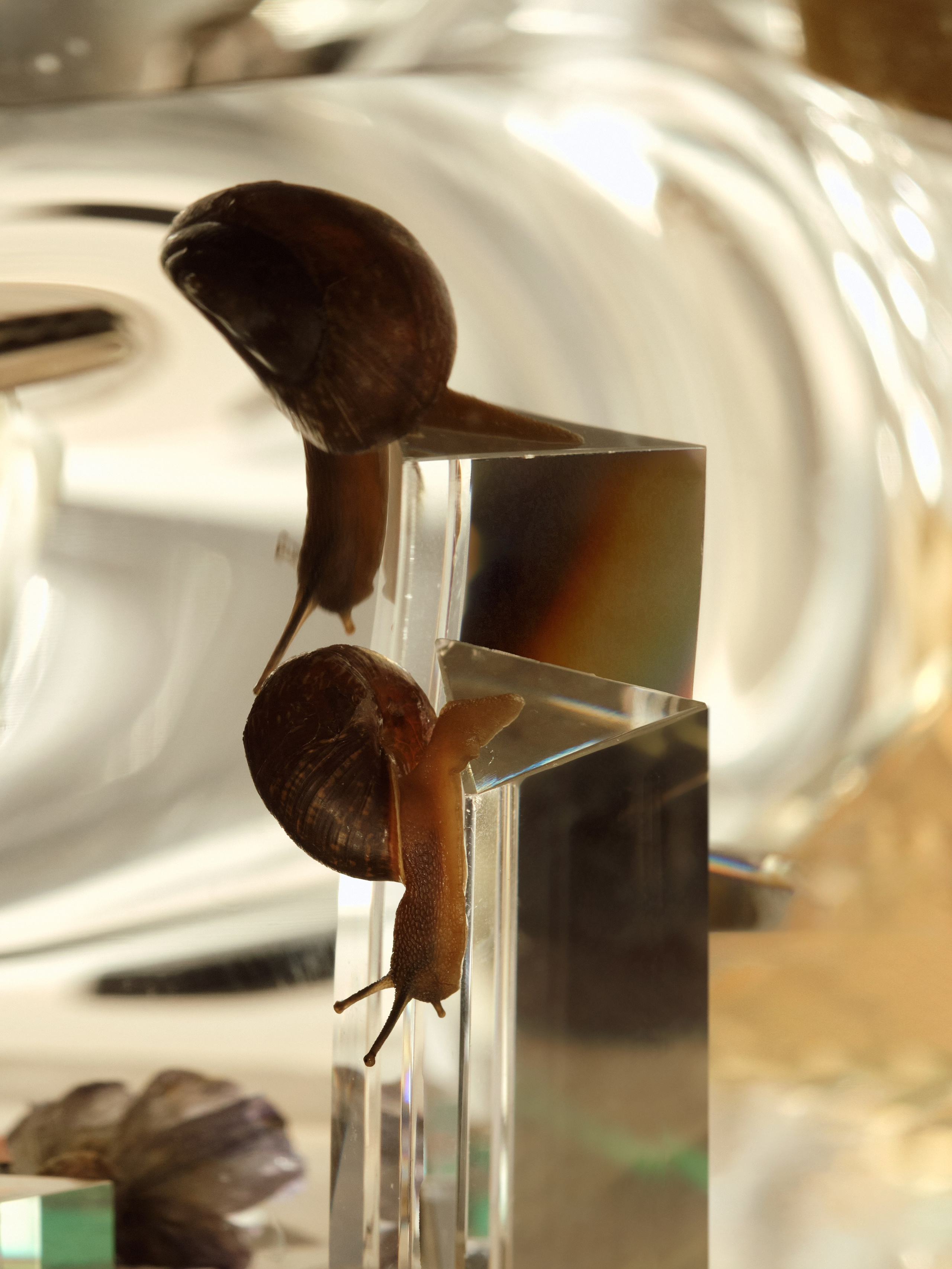 Предметный фотограф | Санкт-Петербург | Кристи Хареба