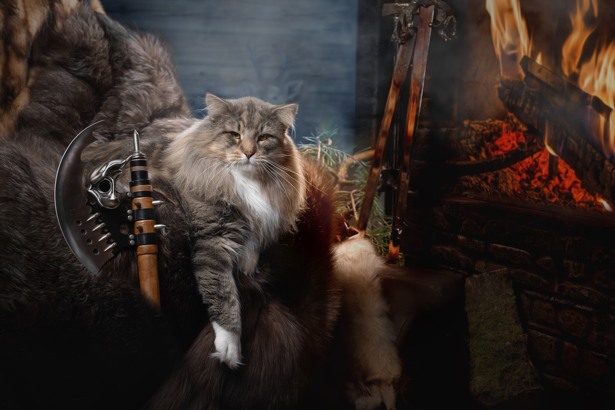 Фотограф анималист в Санкт-Петербурге Светлана Писарева