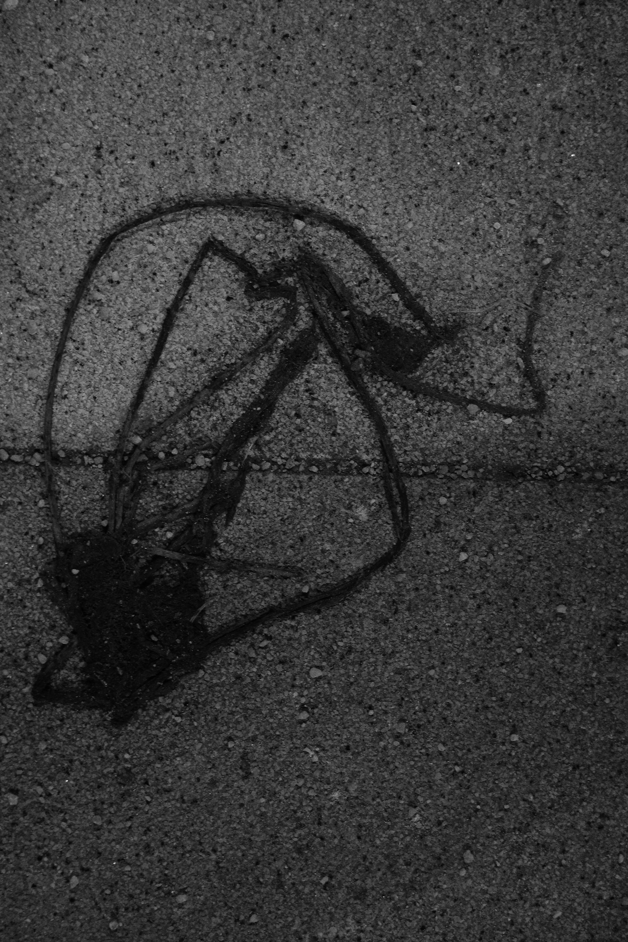 Вечер в ч/б 🖤. Миша Печёнкин | фотография