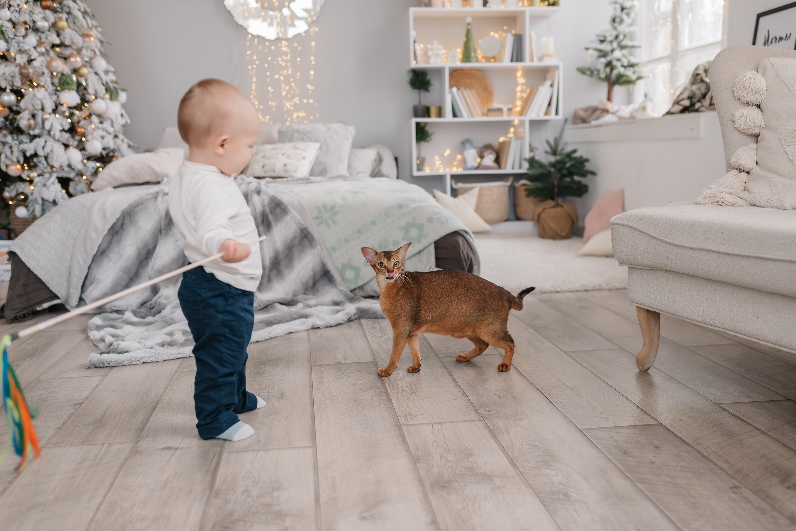 Семейная новогодняя съёмка 2022. Свадебный и семейный фотограф в Симферополе Дарья Маркова