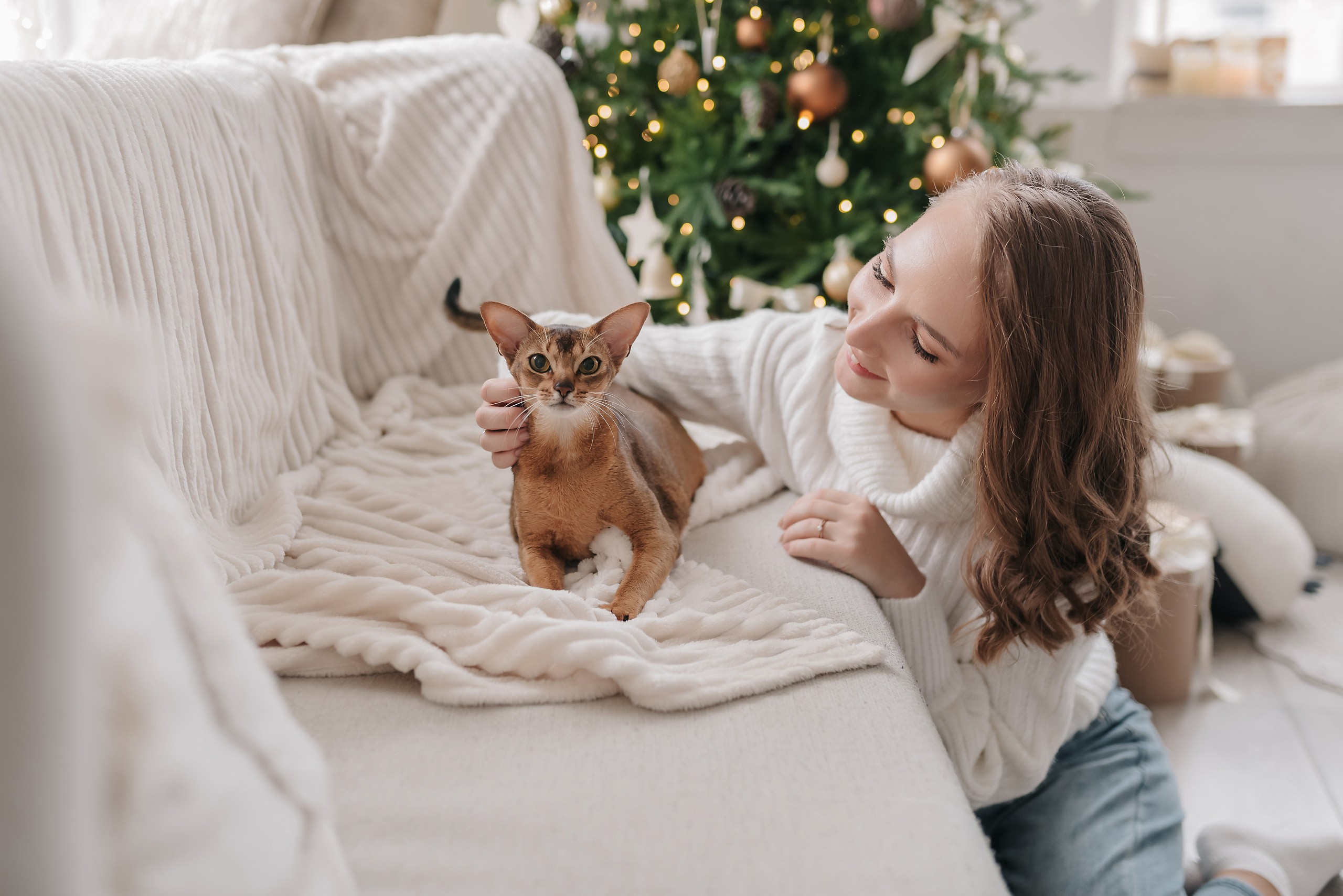 Семейная новогодняя съёмка 2022. Свадебный и семейный фотограф в Симферополе Дарья Маркова