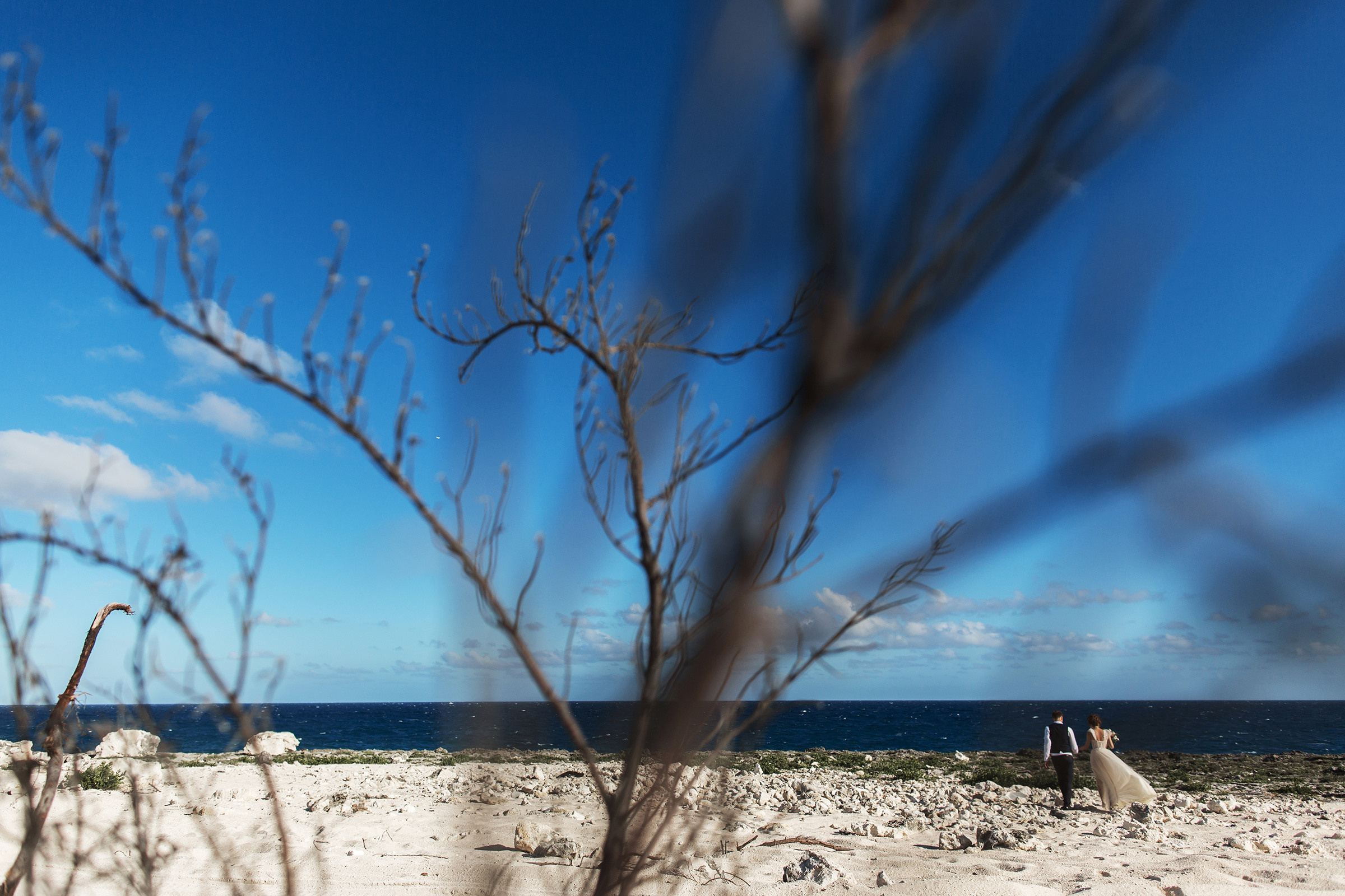 Favourites. Anna Atayan Photographer