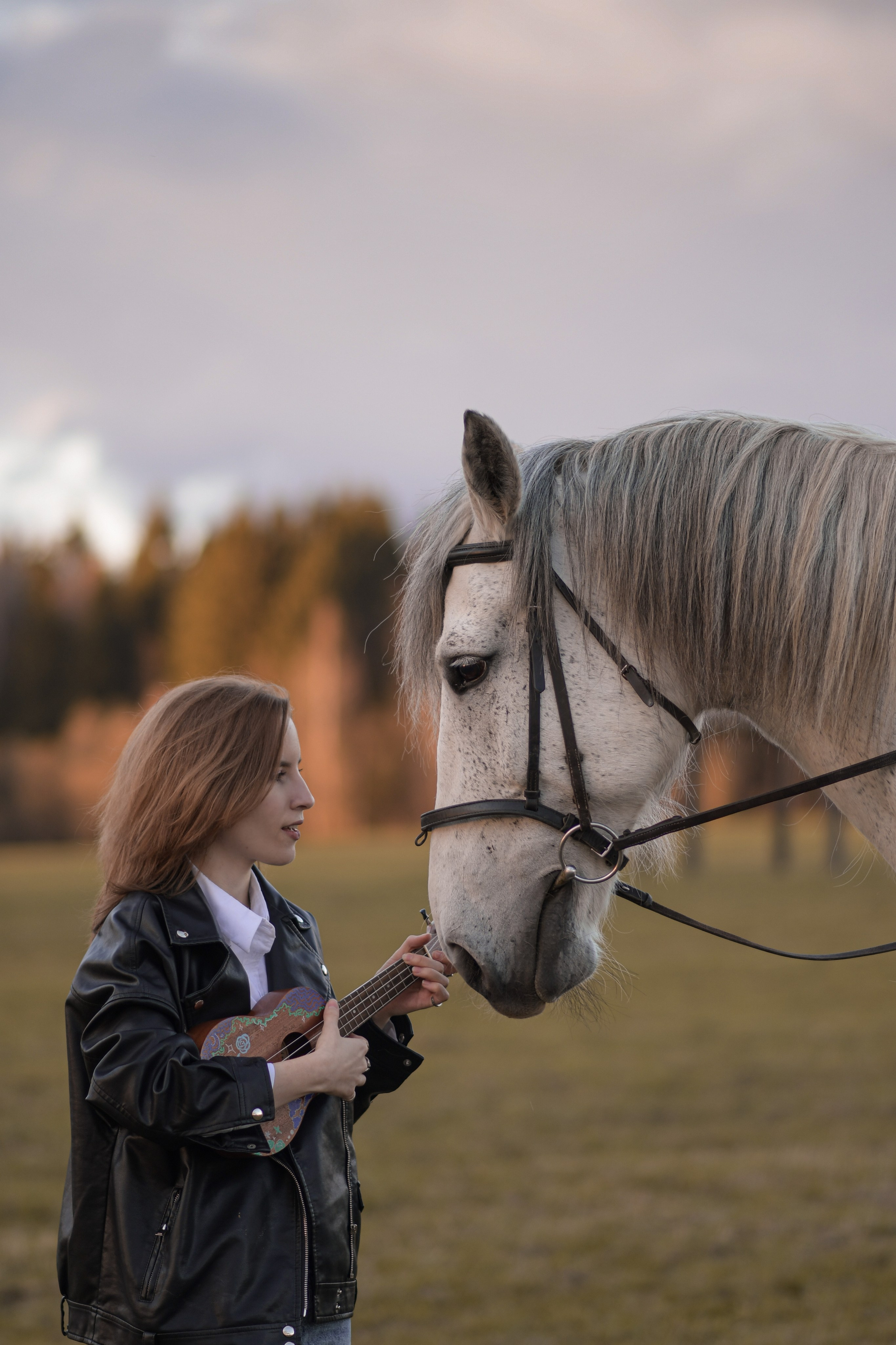 Общение девушки с лошадью