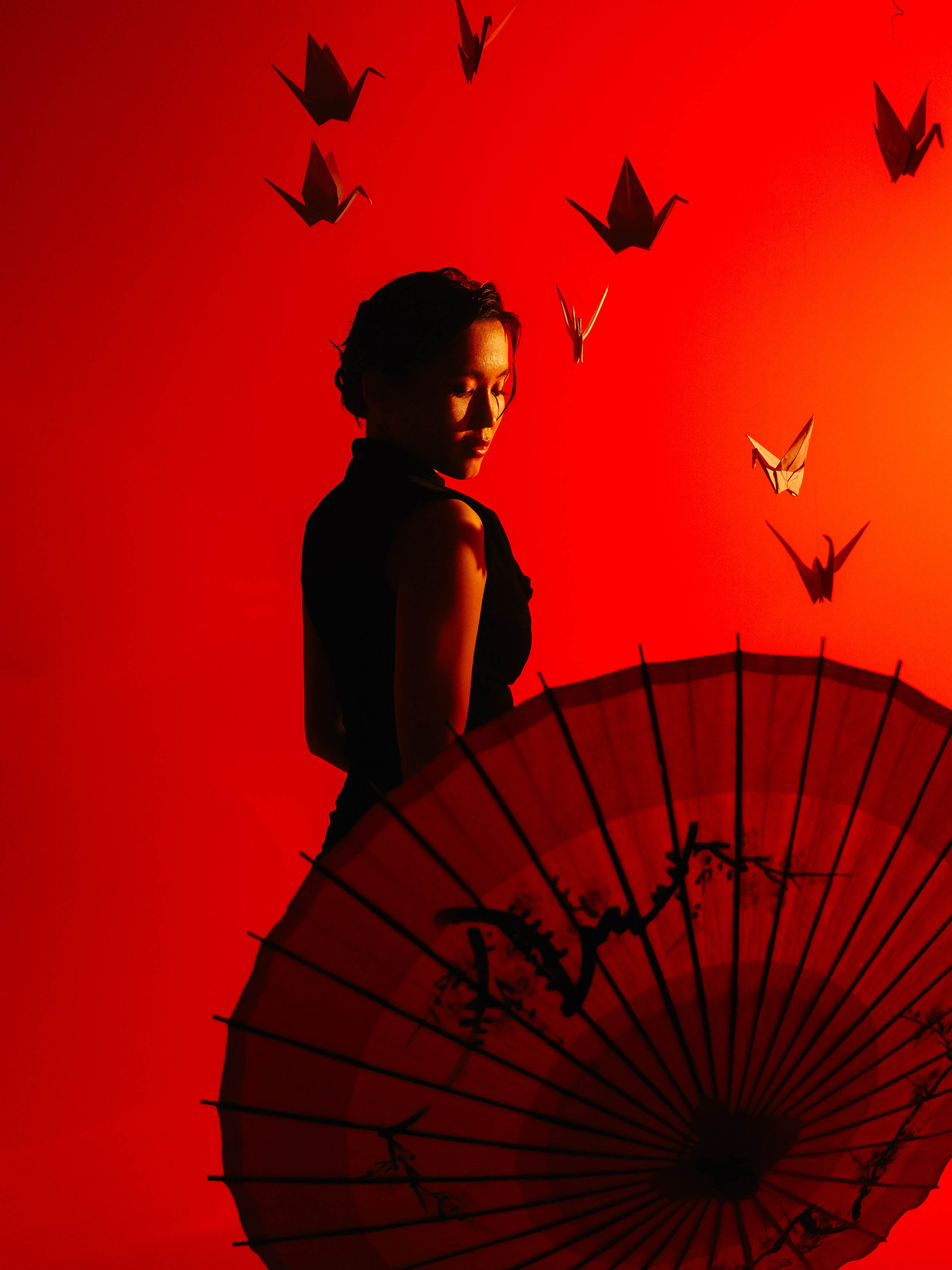 «Тени Киото»