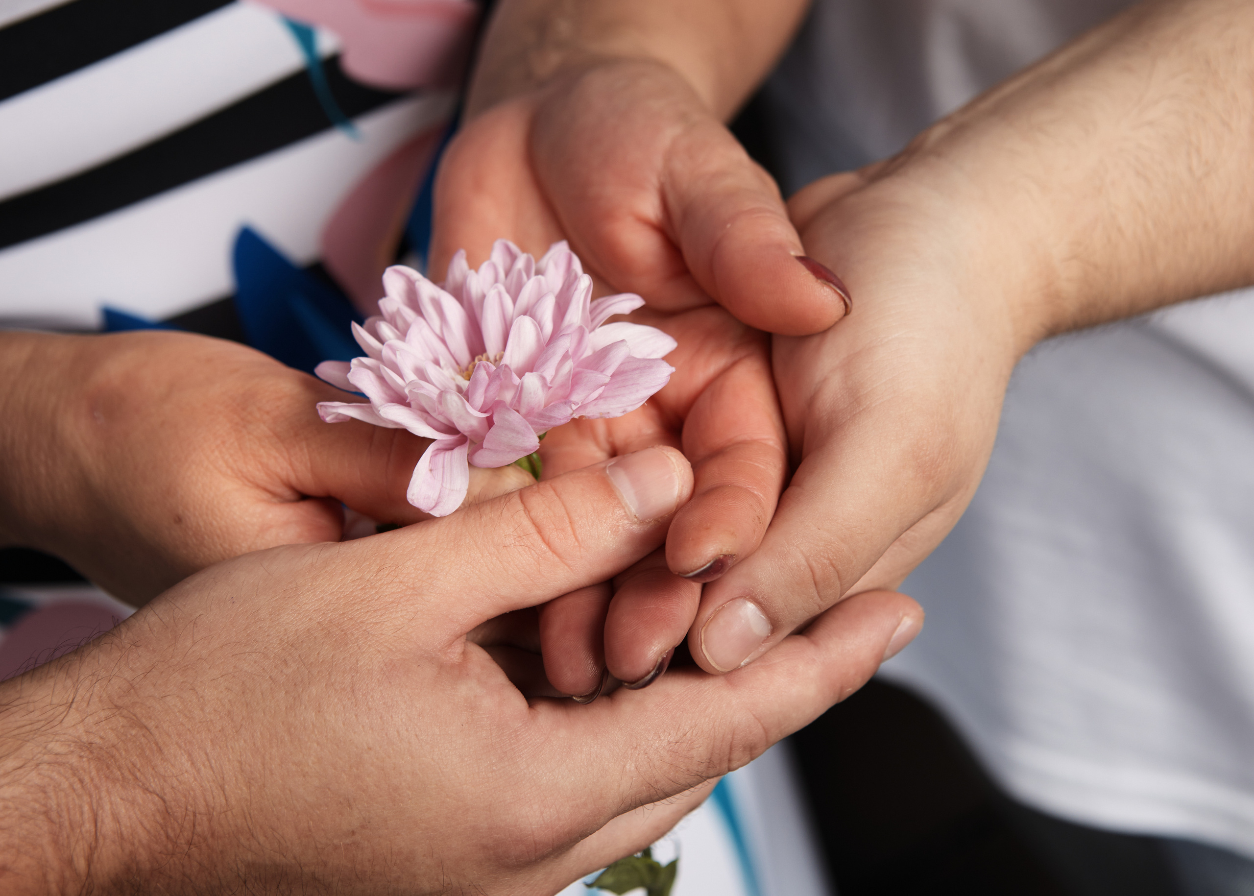 Семейный портрет в фотостудии
