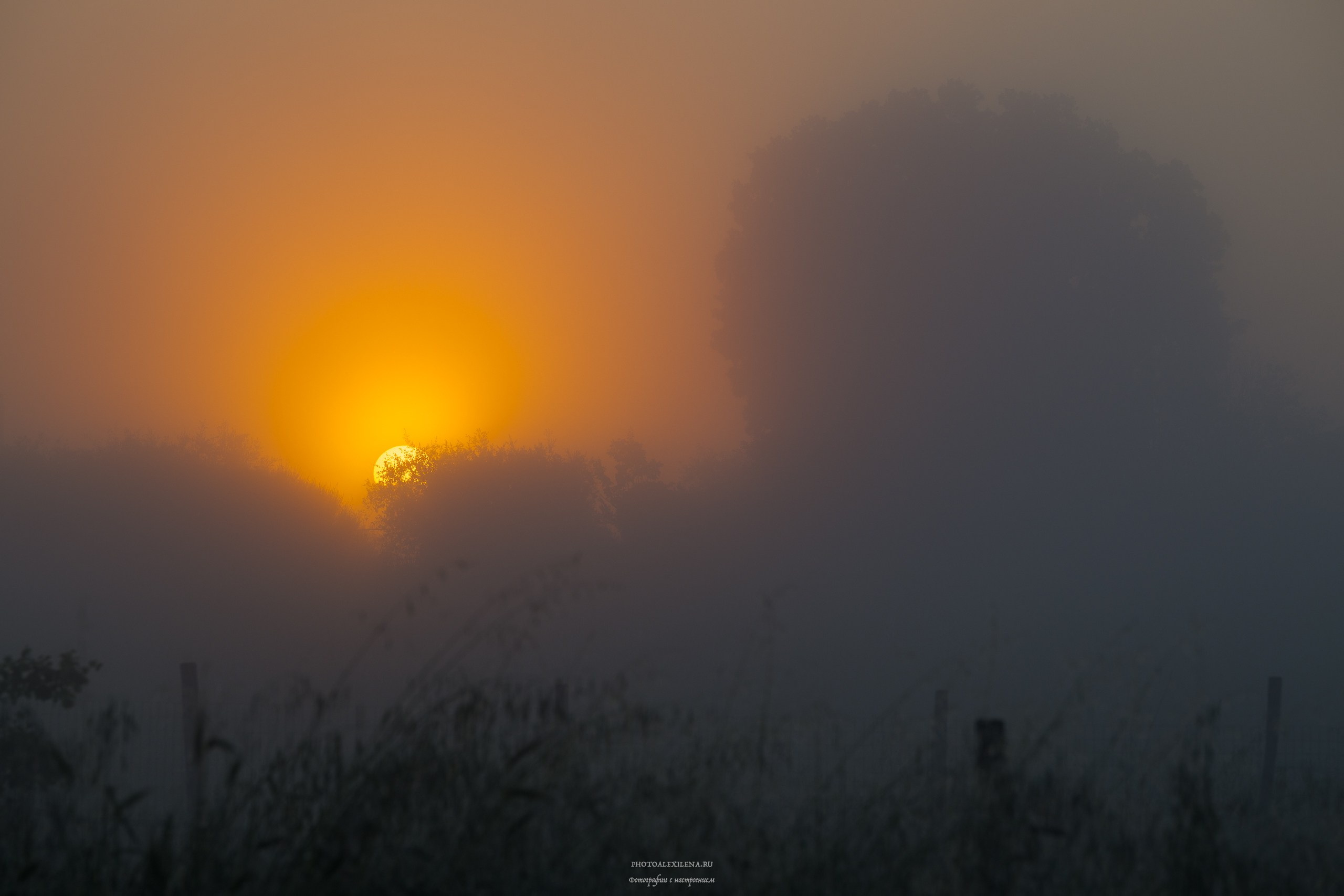 Путешествие сквозь красоту и вдохновение. Авторские стильные фотокартины