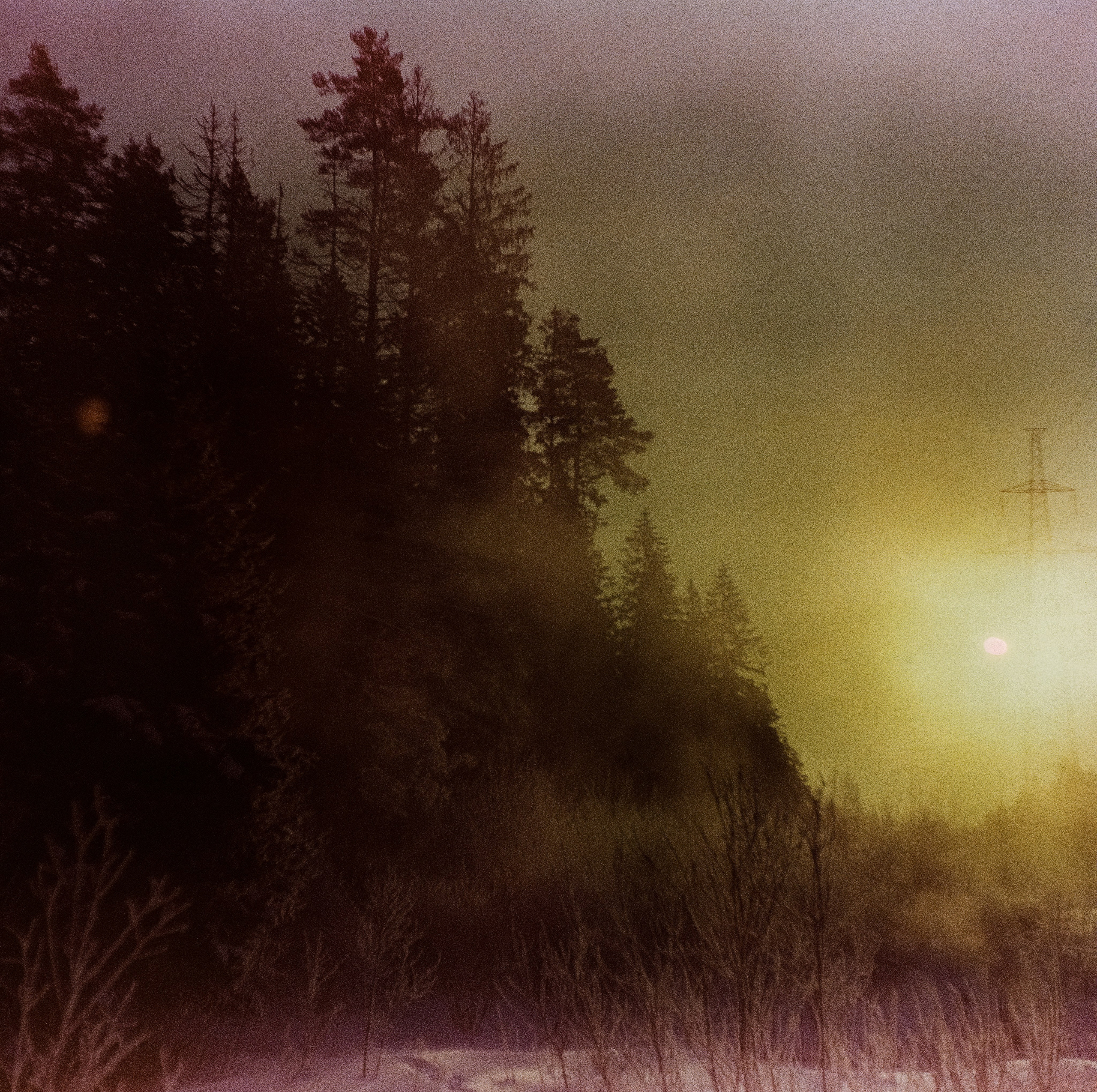 Kodak Ektachrome 64T / Franka Solida III / Архангельское, Лукино