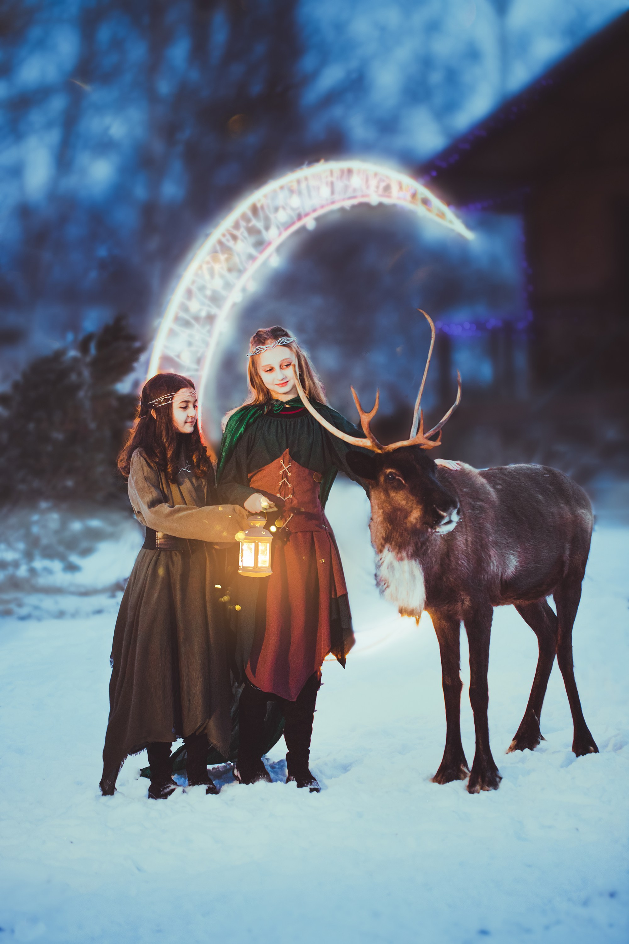 Фото с оленями. Обо мне