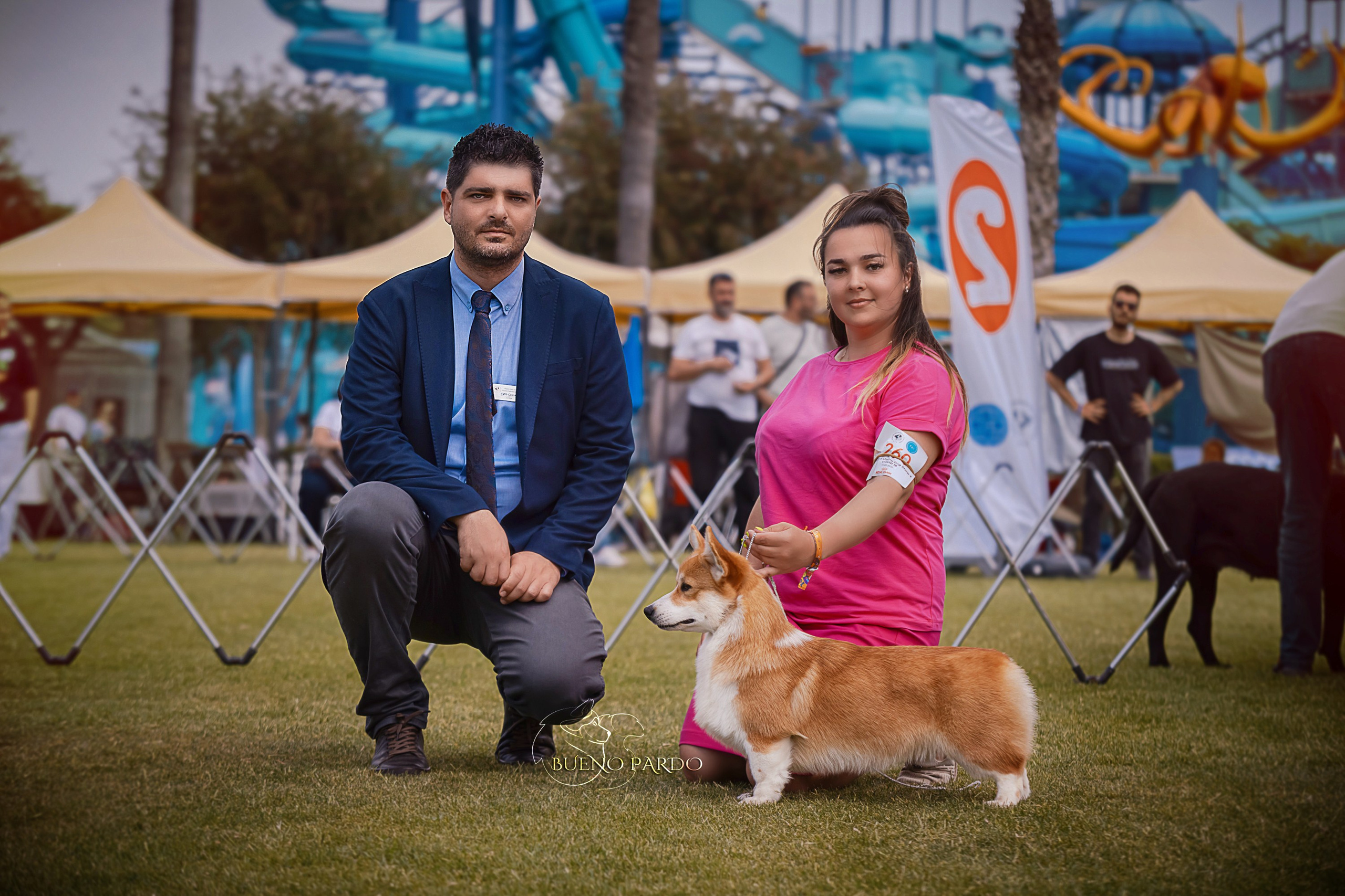 Собаки питомника Bueno Pardo. Питомник собак Акита, Хаски, Корги