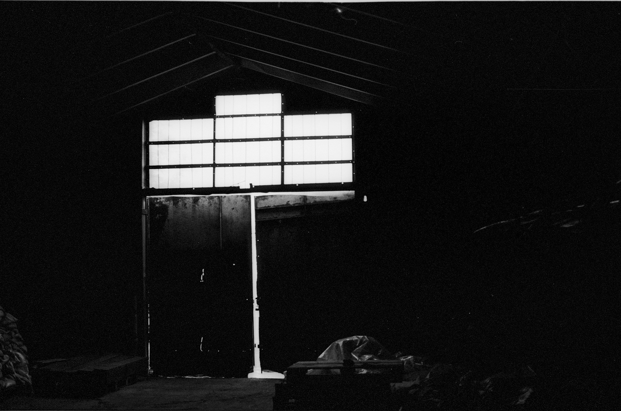 SuperFoodFarm. История фермы. Другой Павел Поцелуев. Фотограф в 2025 году