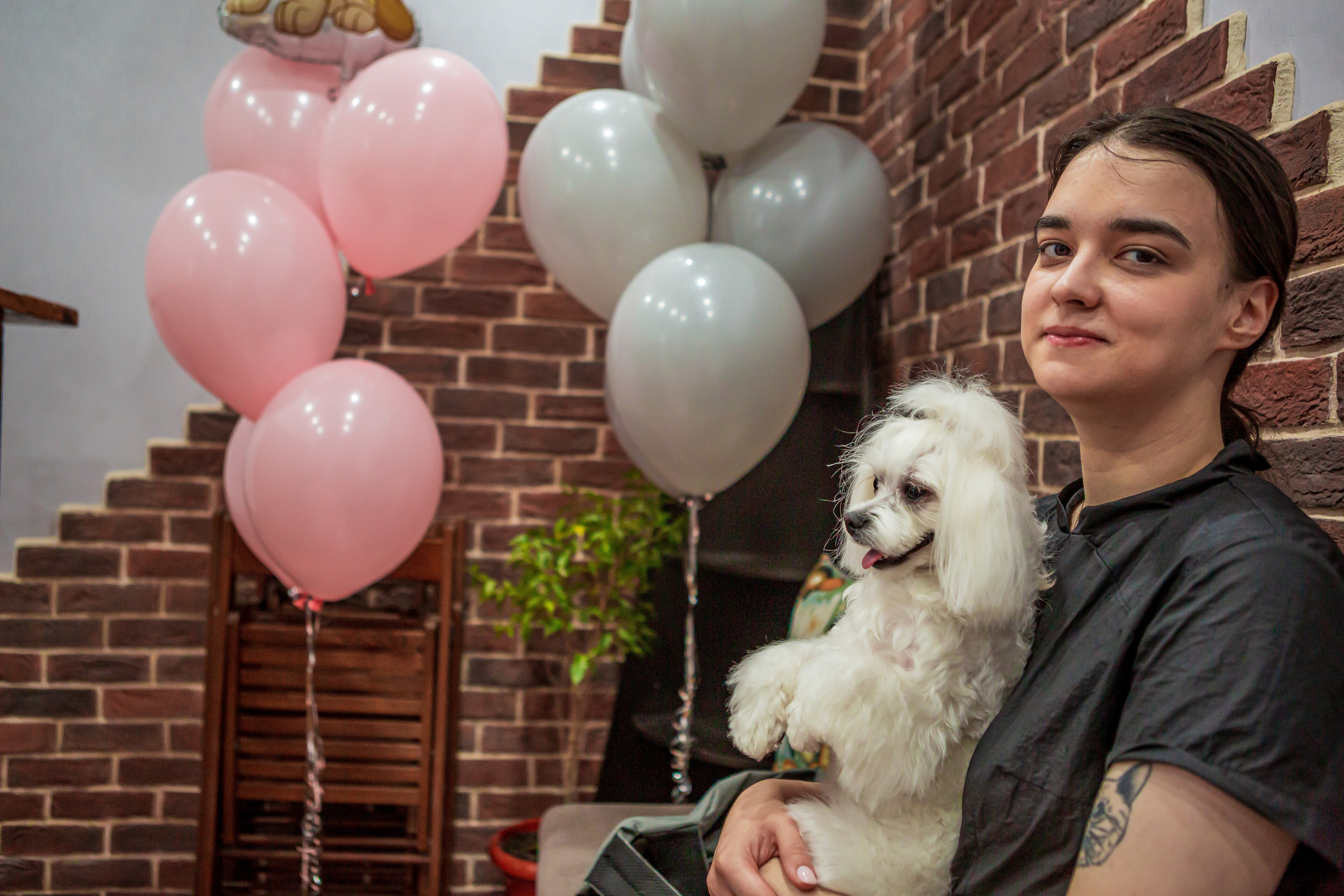 Груминг салон