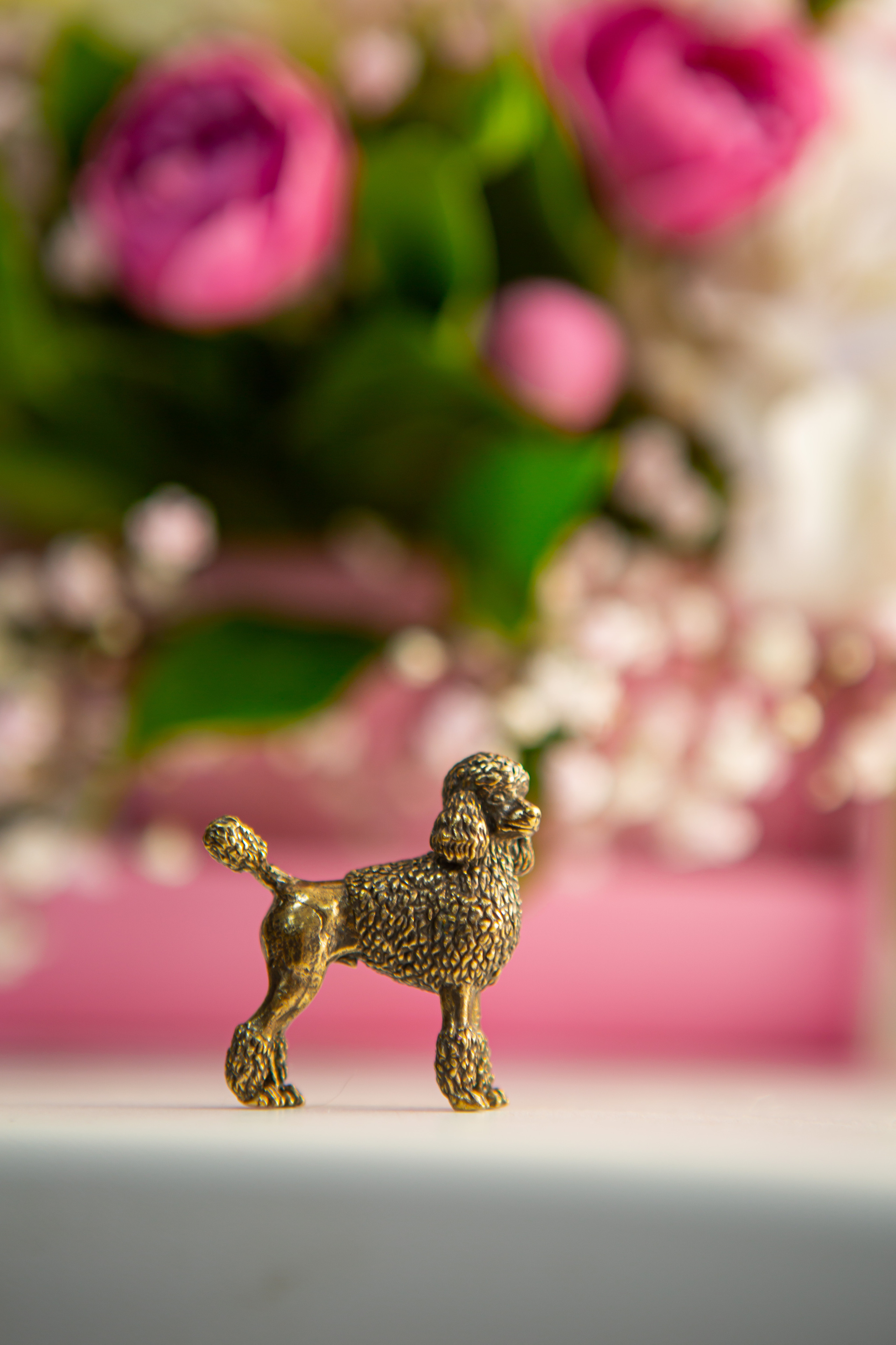 Груминг салон