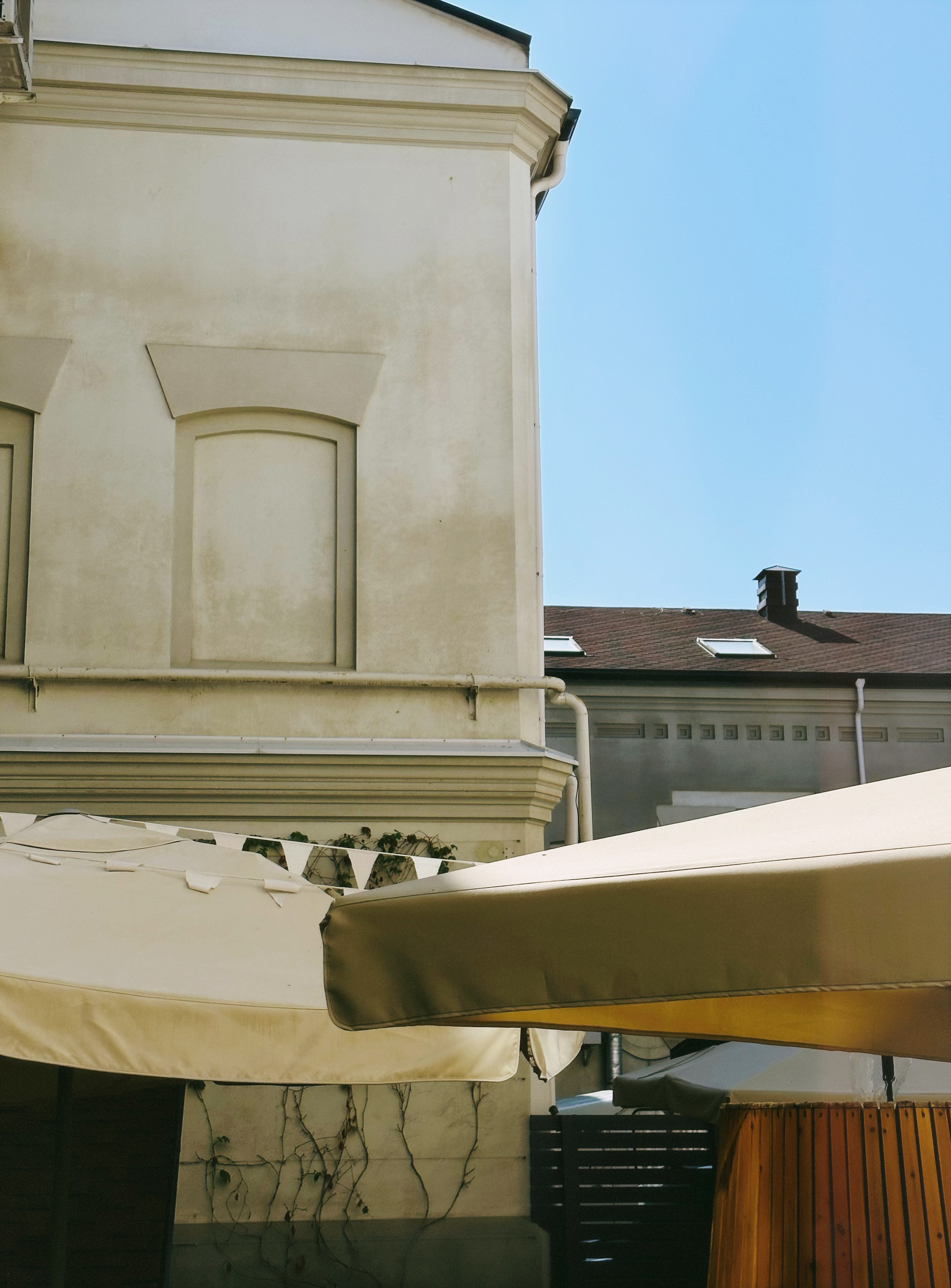 МК Мобильная фотография. Wedding photographer