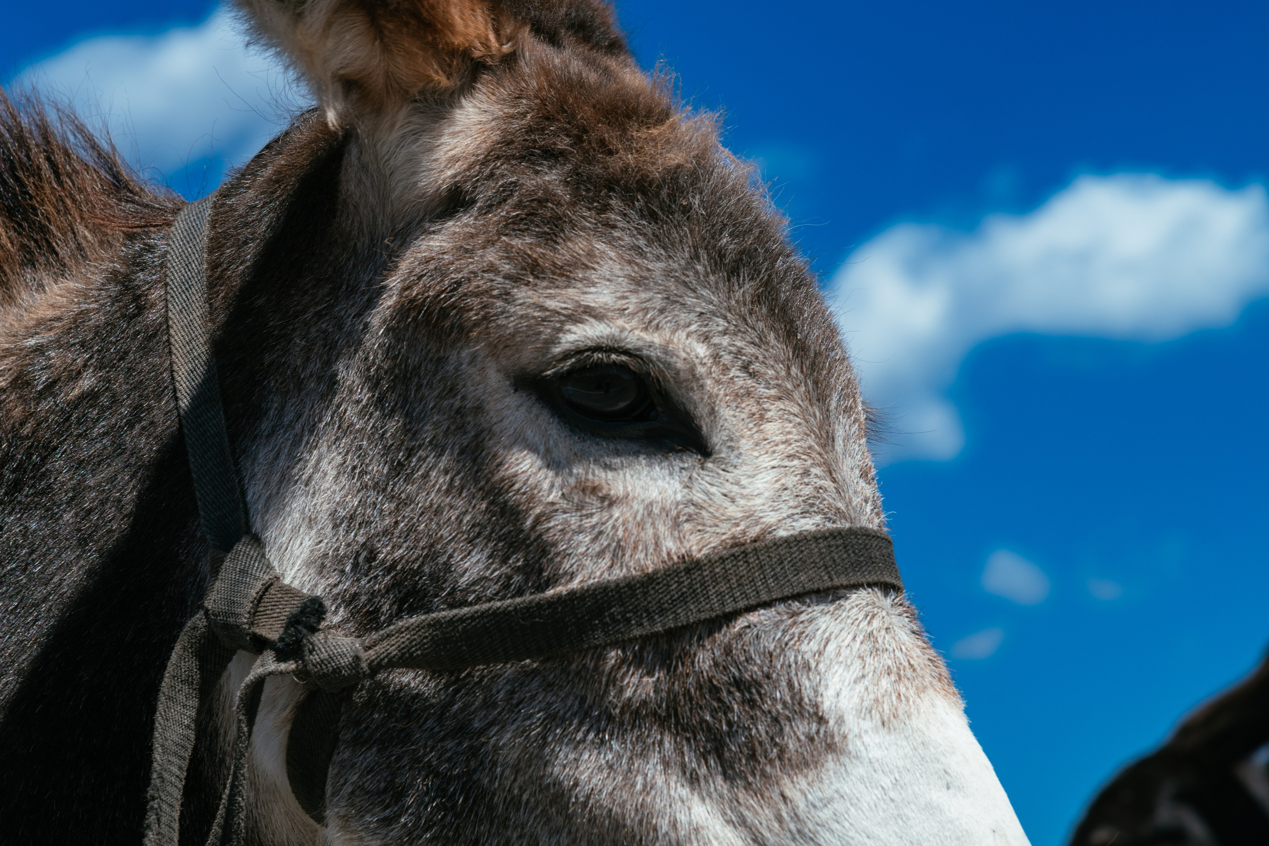 Средняя Азия подборка. Роман Свободный — интерьерная и архитектурная съёмка, Москва и МО
