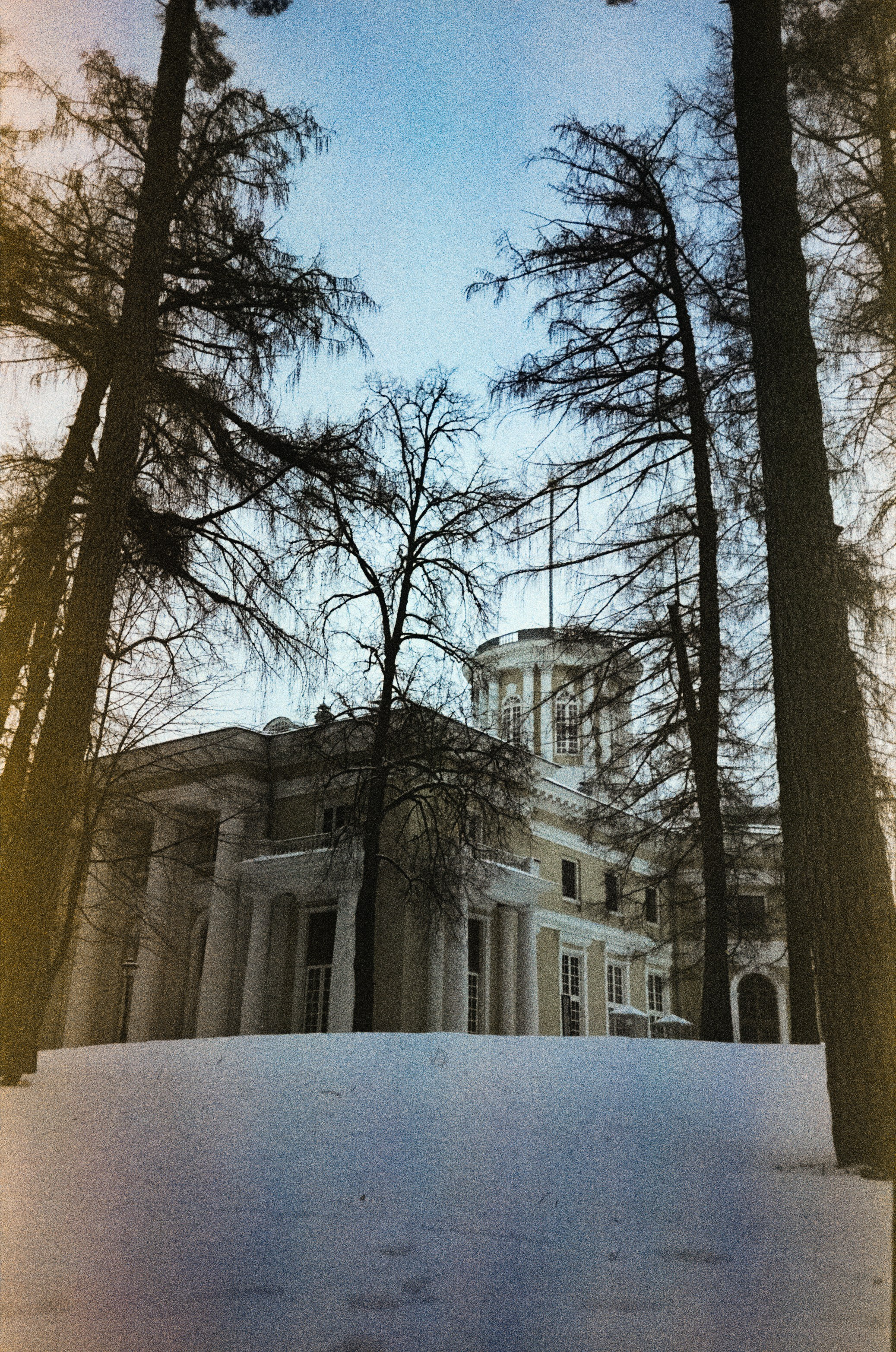 Fujicolor Superia 200 (просрочка) / Cosina CX-1 / 6 января 2025 года Усадьба Архангельское