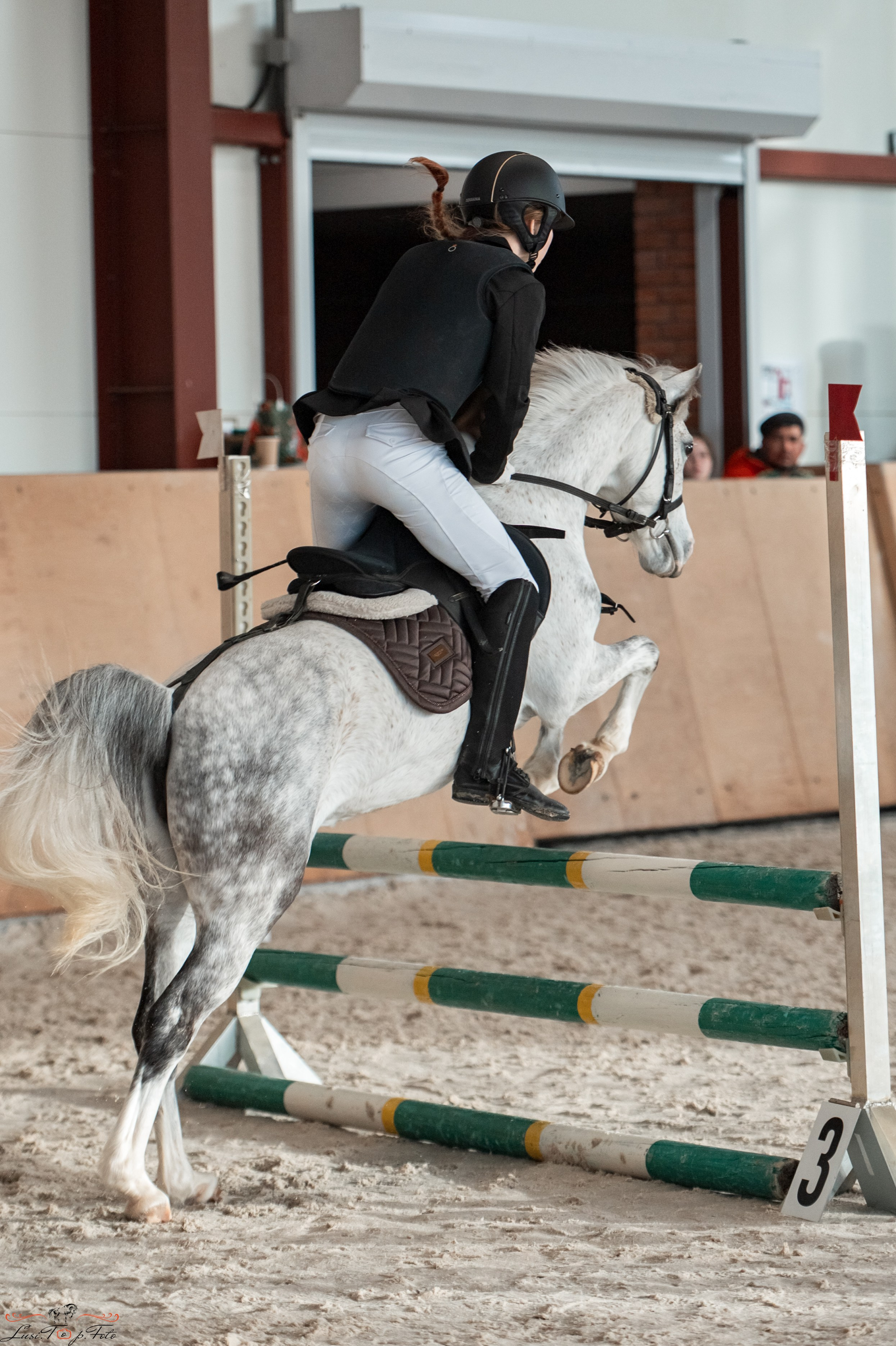 Эквипарк 6 этап Кубка Клубов. Конный и фотограф с животными в Твери Топталова Люся