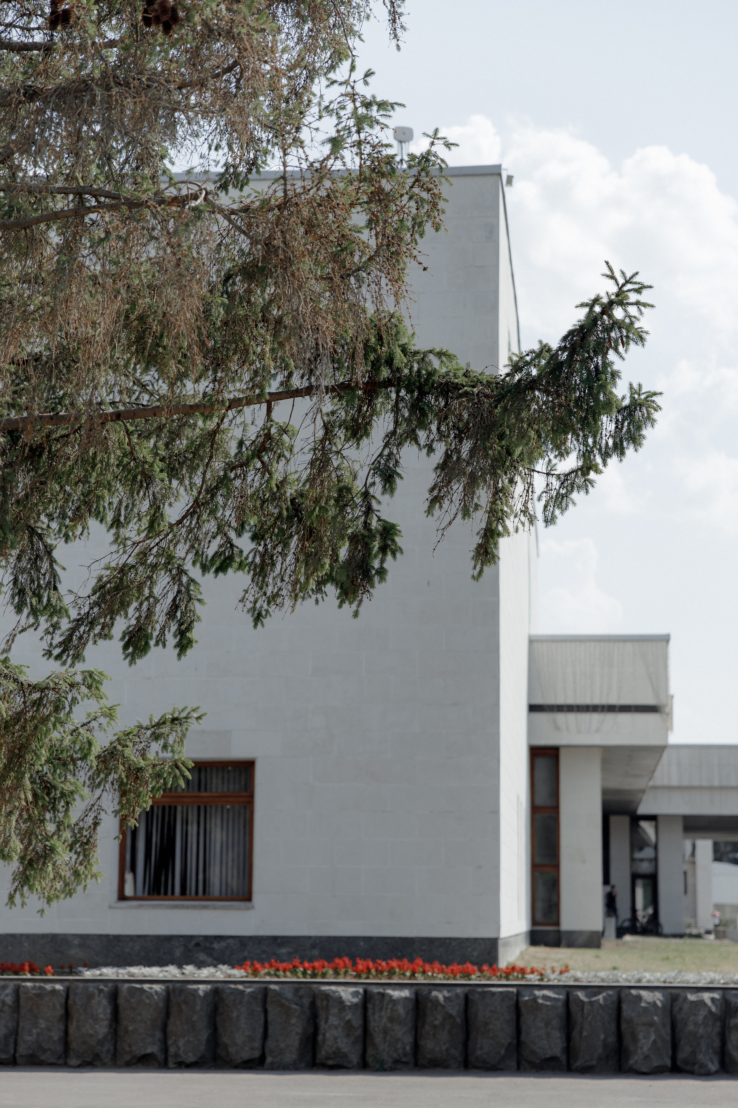 Эля и Дима. Свадебный фотограф Аня Милграм