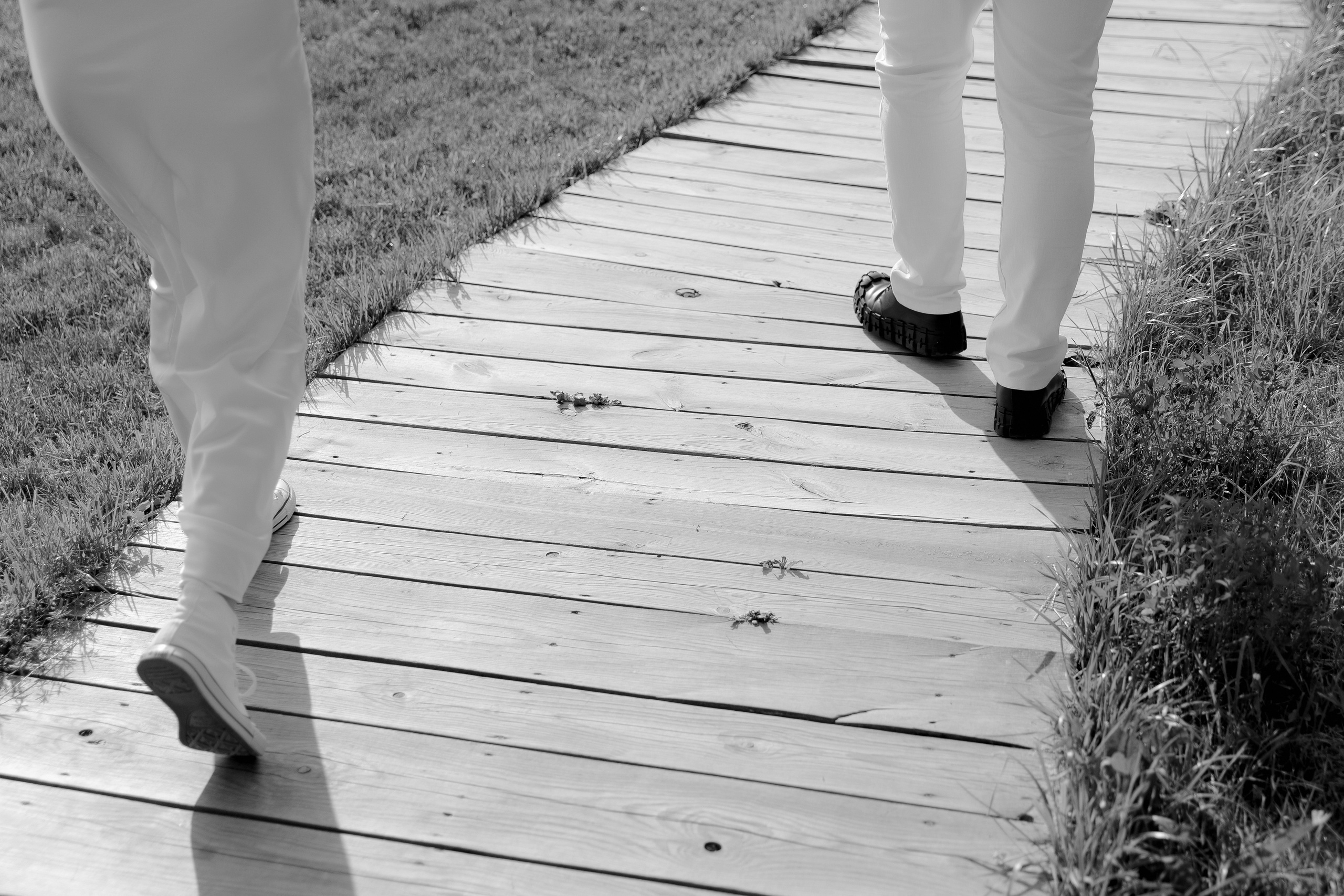 Эля и Дима. Свадебный фотограф Аня Милграм