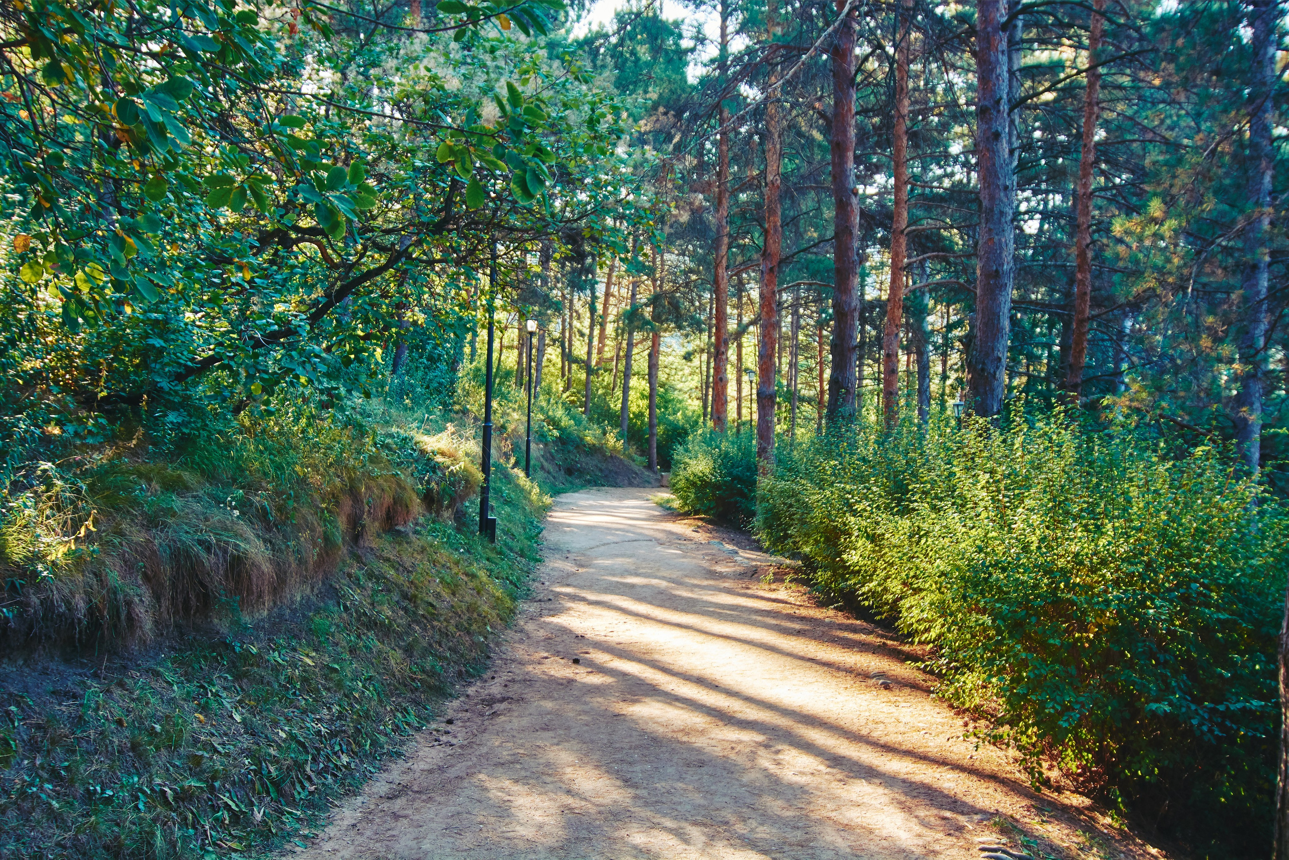 Кисловодский парк. Пейзажйные фото